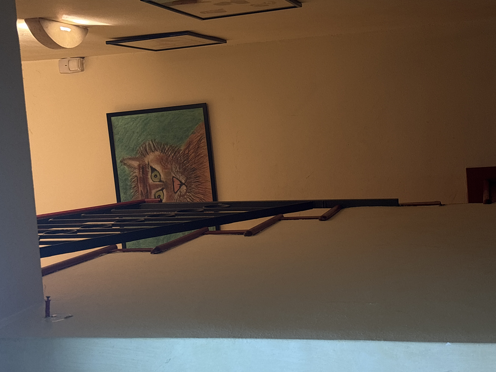 The image shows the interior of a room with off-white walls. On the wall, there is a framed picture of a cat. Above the cat picture, there are two framed items hanging from the ceiling. In the foreground, there is a dark metal rack structure. A corner of a structure is visible on the left side, and a reddish-brown object is also on the right side. The scene appears to be upside down. No people are visible. The exact location within Milan, Italy, cannot be determined from the image.