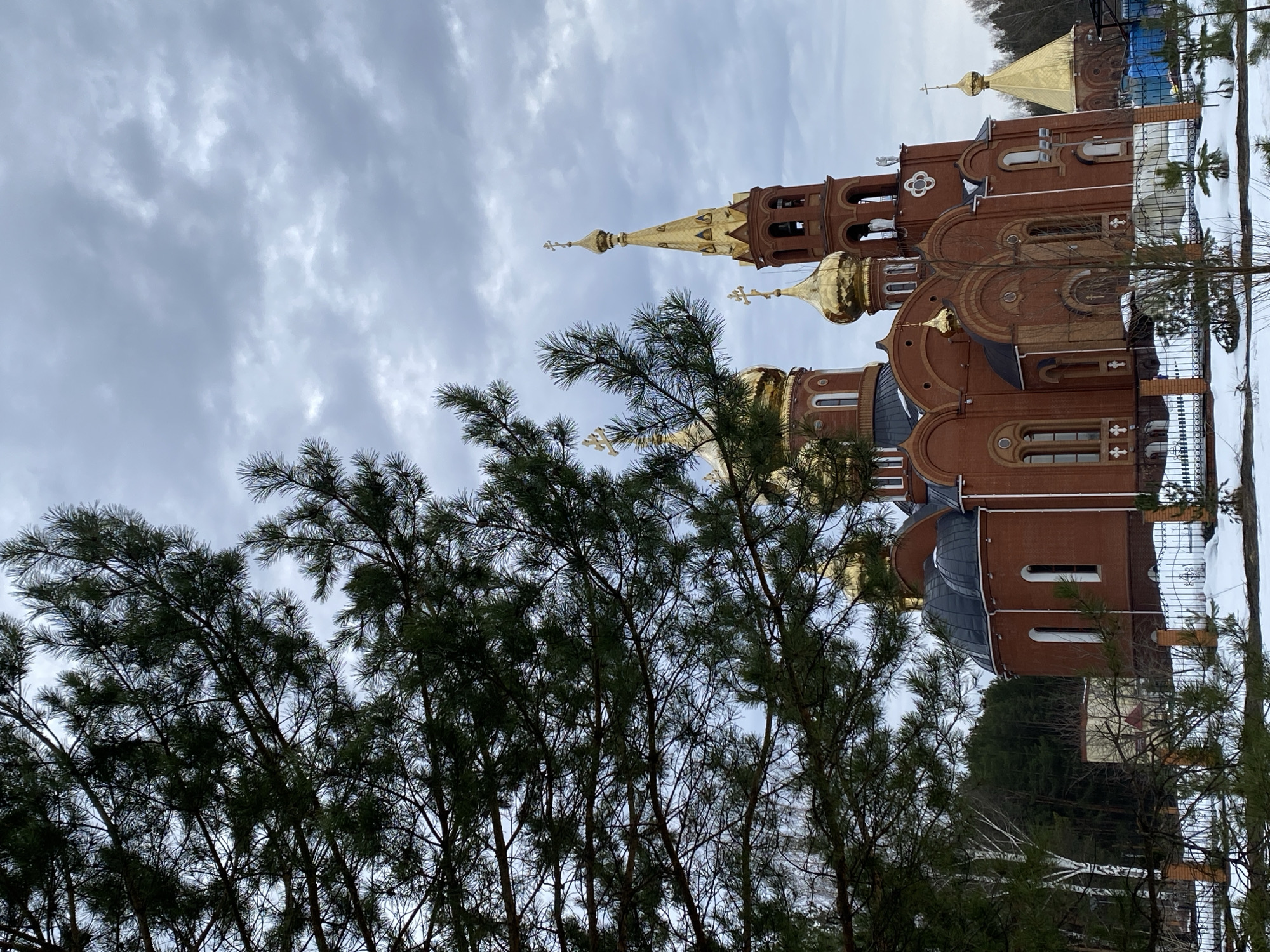 The image shows a red brick building with golden domes and crosses, partially obscured by a large coniferous tree in the foreground. The sky is cloudy and gray. A fence and some snow are visible on the right side of the building. The location is the Orthodox Church of the Nativity of the Blessed Virgin, on the outskirts of the city of Chaikovsky, Russia. No people are visible in the image.