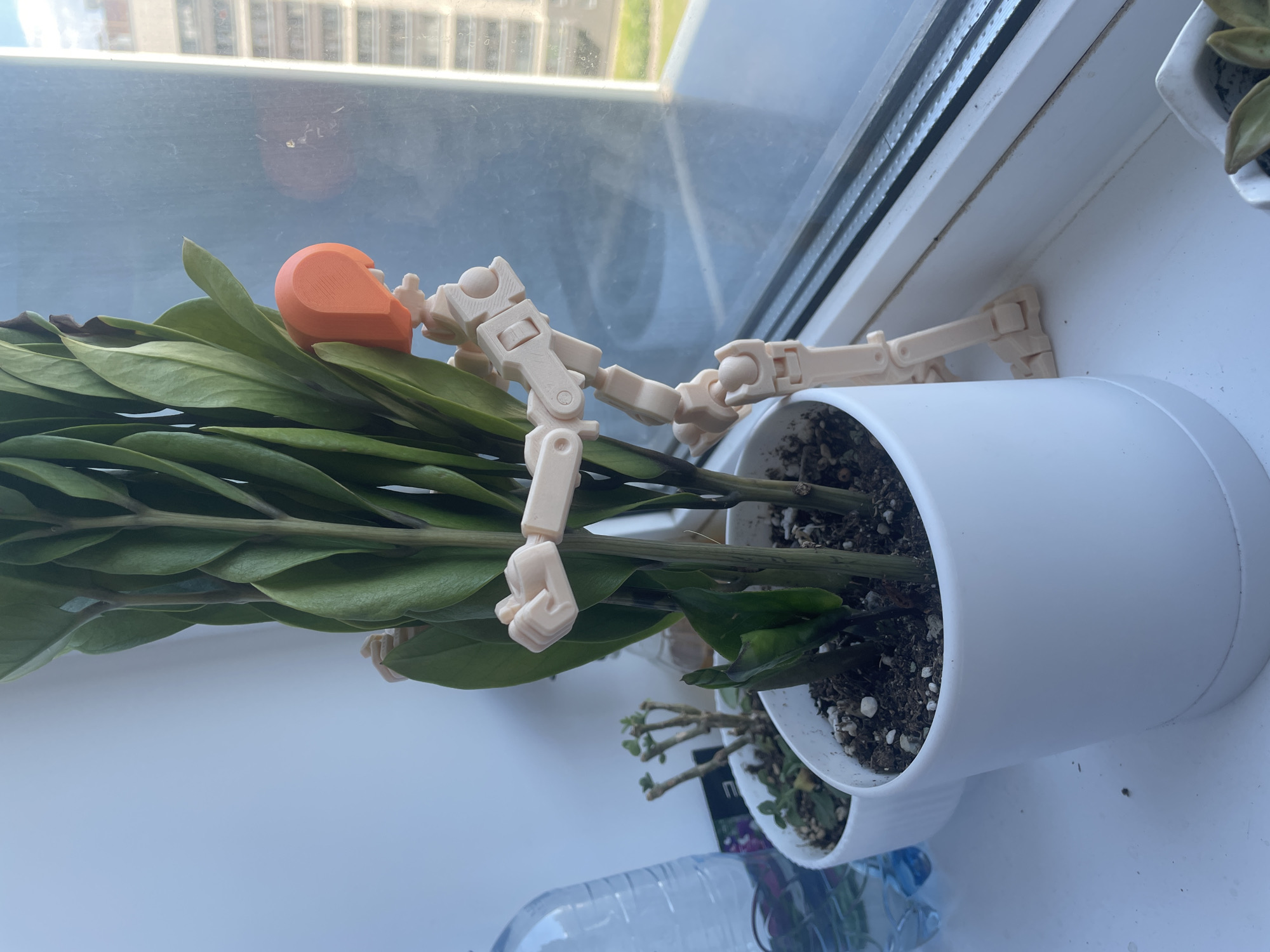 A light-colored, jointed figurine is positioned next to a potted ZZ plant on a windowsill. The figurine, composed of beige plastic segments connected by ball joints, is leaning against the plant's stems, with one arm wrapped around the stalks and the other extended. It has an orange, rounded headpiece. The ZZ plant, with its glossy dark green leaves, is in a white ceramic pot filled with soil and small stones. To the left of the main pot, another small white pot holds a succulent with thin, branching stems. A large plastic water bottle with a blue tint is also visible on the left side of the windowsill. The windowsill is white and appears to be made of a composite material. Beyond the window, a cityscape is visible, with the upper floors of a tall building and a hazy sky suggesting an urban environment in Russia.