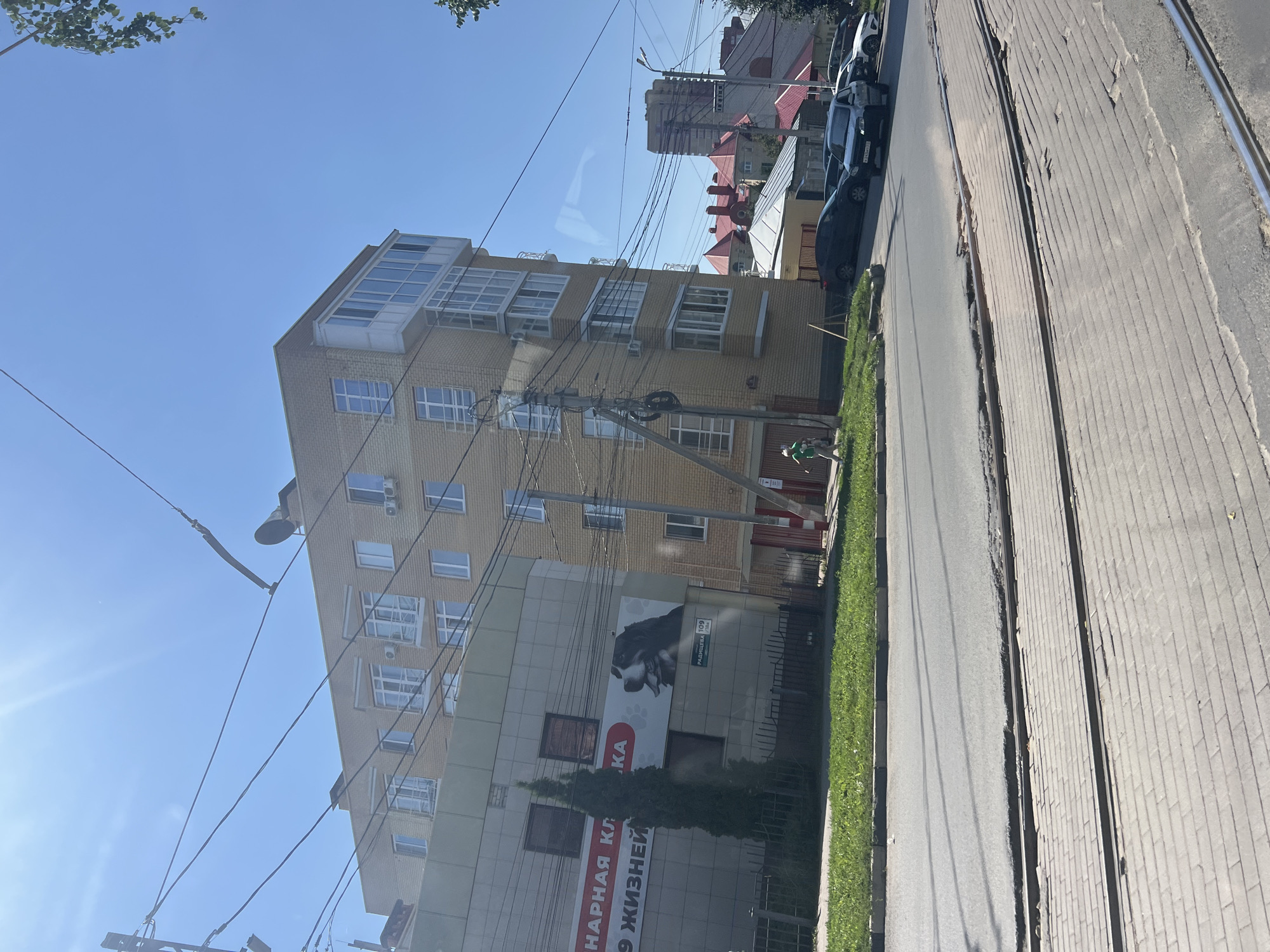 The image shows a sunny day in Ulyanovsk, Russia. The foreground features trolley tracks embedded in a paved walkway and an asphalt road. To the left, a multi-story brick building with numerous windows and balconies dominates the scene. A banner with a dog image and Russian text is visible on the lower part of this building. A tall, slender evergreen tree stands in front of the building. A person in a green shirt is walking on the grass verge near the building. Several cars are parked on the street to the right of the building. In the background, more buildings, including a tall high-rise, can be seen under a clear blue sky. The image appears to be taken from a moving vehicle, likely a trolley or bus, due to the angle and the reflection on the window.