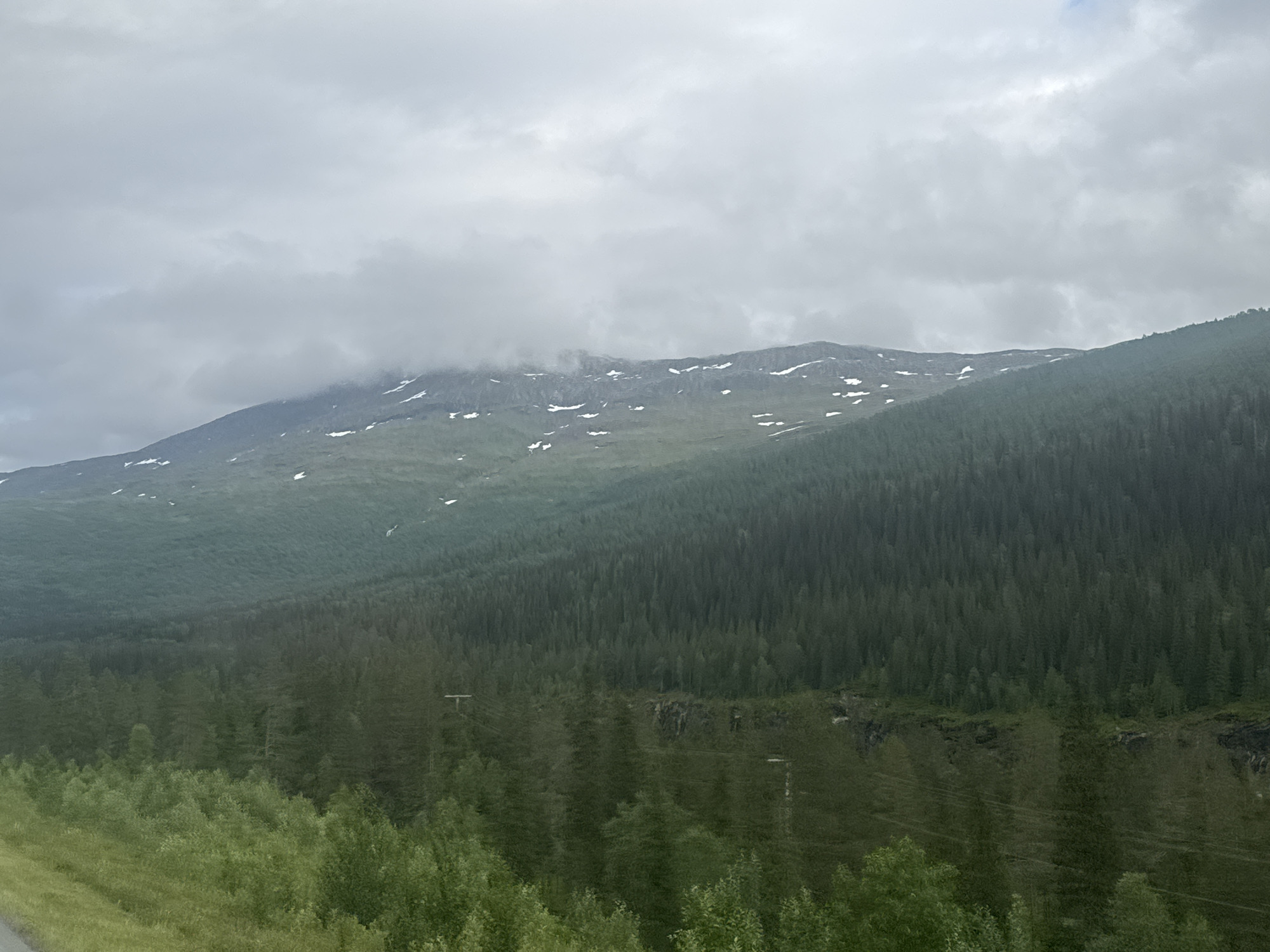 The image shows a mountainous landscape under a cloudy sky. The mountains are covered with dense evergreen trees, transitioning to lighter green vegetation and sparse snow patches at higher elevations. In the foreground, there are more deciduous trees and a grassy slope. There are no people or animals visible in the image. The environment appears to be natural and wild, with no signs of human habitation apart from what could be power lines or infrastructure partially obscured by the trees. The scene suggests a remote, possibly Nordic, location.