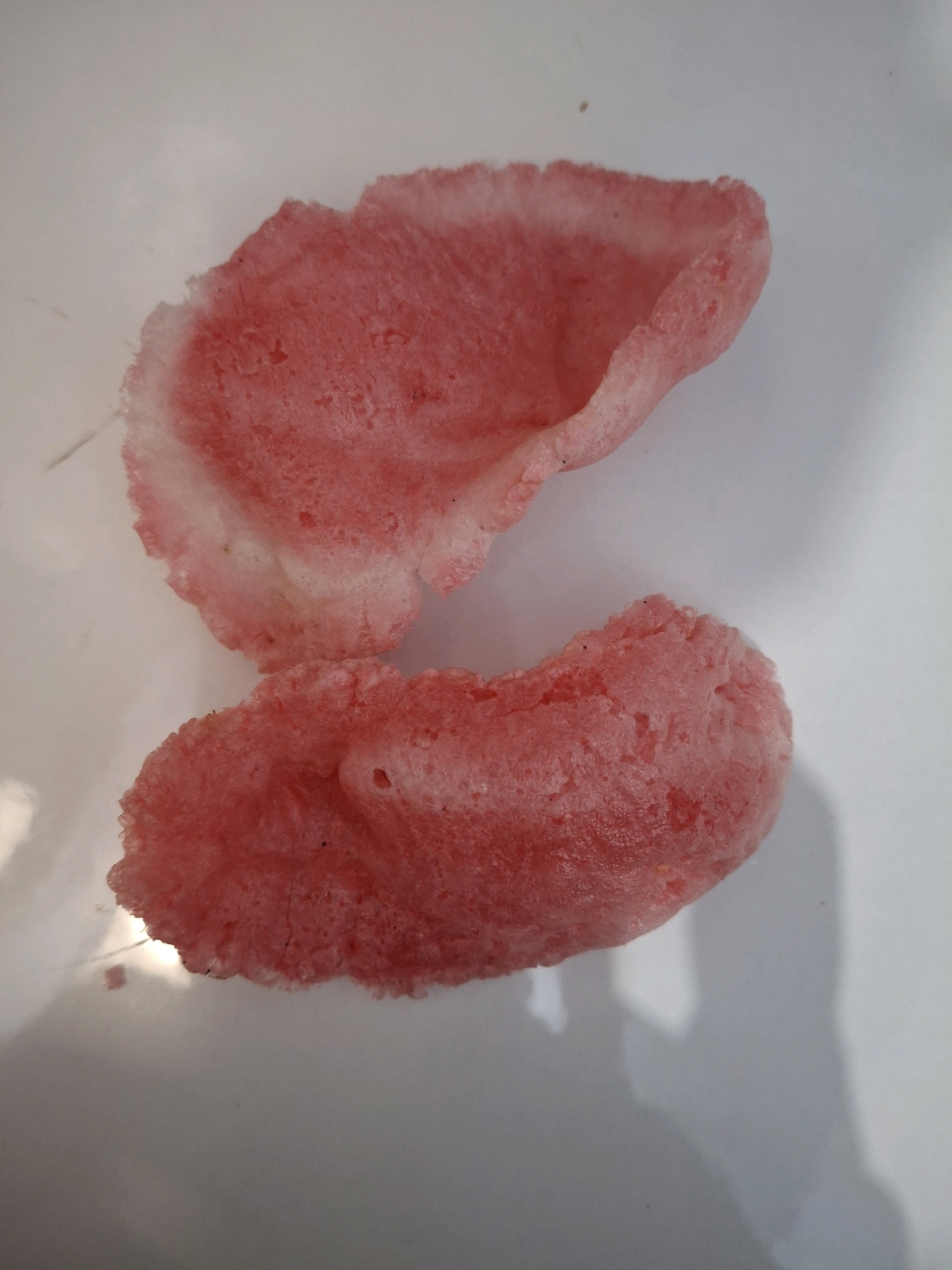 Two pinkish-red, puffy, irregularly shaped snacks are arranged on a white surface. The snacks appear to be crackers or chips, with a porous and textured surface. The lighting suggests an indoor setting, possibly a kitchen or dining area. There is a shadow cast on the white surface, indicating a light source from the top right. The background is out of focus, with some subtle hints of a gray or white wall. The scene is devoid of any human presence or activity. No specific location in Lumajang, Indonesia can be determined from the image itself.