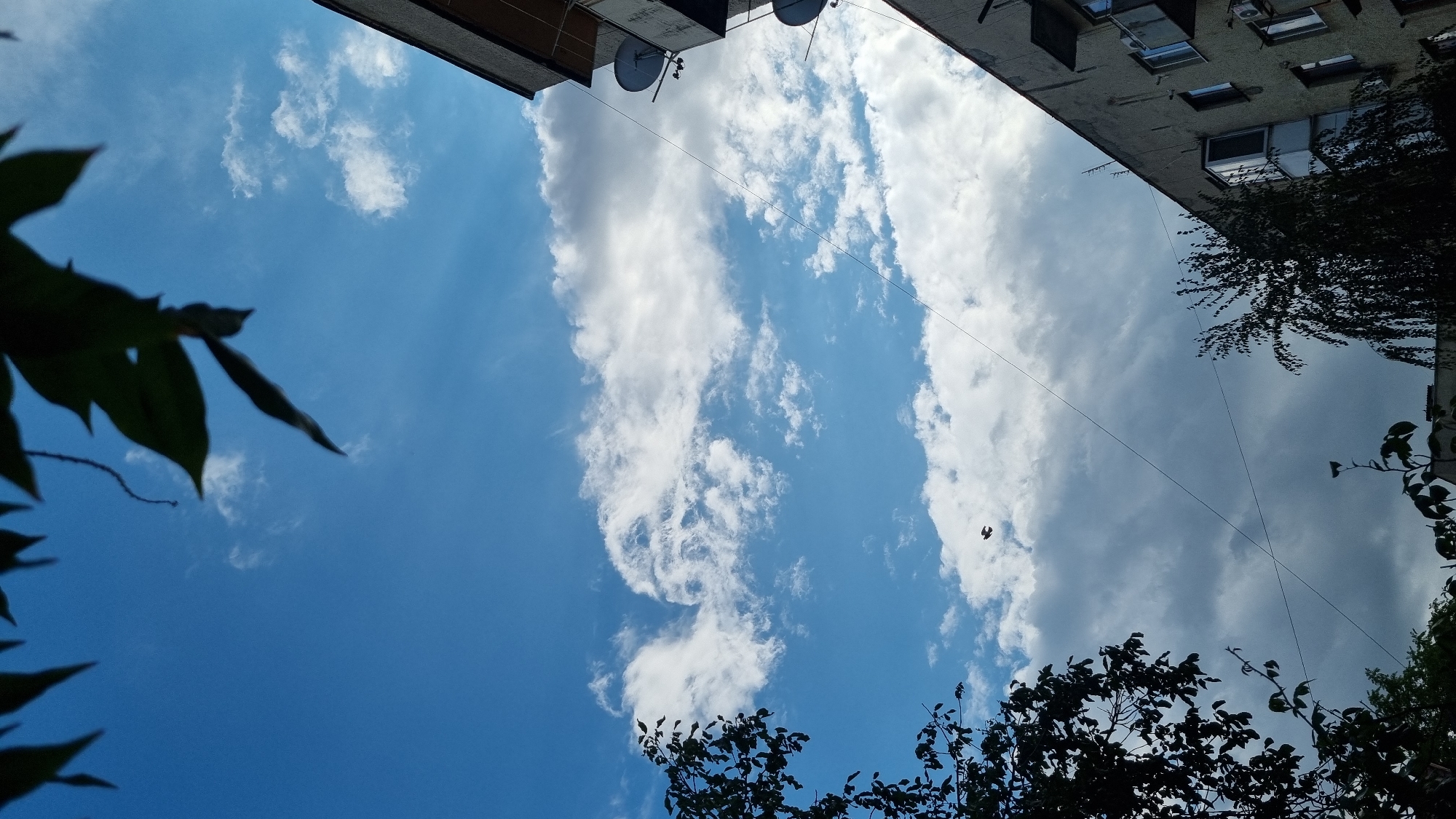 A vertical, slightly tilted, low-angle shot captures a bright blue sky filled with scattered white clouds. In the upper left corner, dark green leaves of a tree frame the sky. On the right side of the frame, the upper portion of a multi-story building is visible, with satellite dishes mounted on its exterior. A thin black wire stretches diagonally across the sky. Slightly left of center in the lower half of the image, a small, dark bird is in flight against the sky. The scene appears to be an outdoor urban environment, possibly in Berehove, Ukraine, given the architectural style of the building.