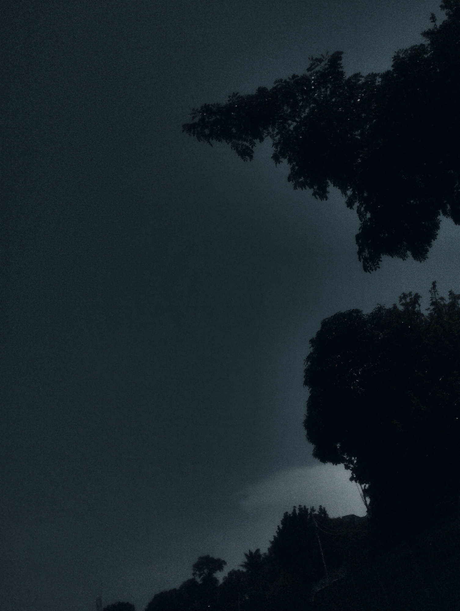 The image depicts a dark, overcast sky with the silhouettes of trees against it. The scene is dominated by deep blues and grays, suggesting twilight or a storm approaching. In the upper right and lower right quadrants, the dense foliage of trees is visible, their leaves rendered as dark, textured masses. The overall impression is one of an impending natural event, possibly rain or wind, given the dramatic sky. There are no people or discernible objects other than the trees and the sky. The grainy texture of the image adds to a slightly moody or atmospheric quality. The location context of Jos, Nigeria, suggests a tropical or sub-tropical environment where such dramatic skies and lush tree growth are common. The time of day appears to be either very early morning or late evening, as the light is dim and diffused.