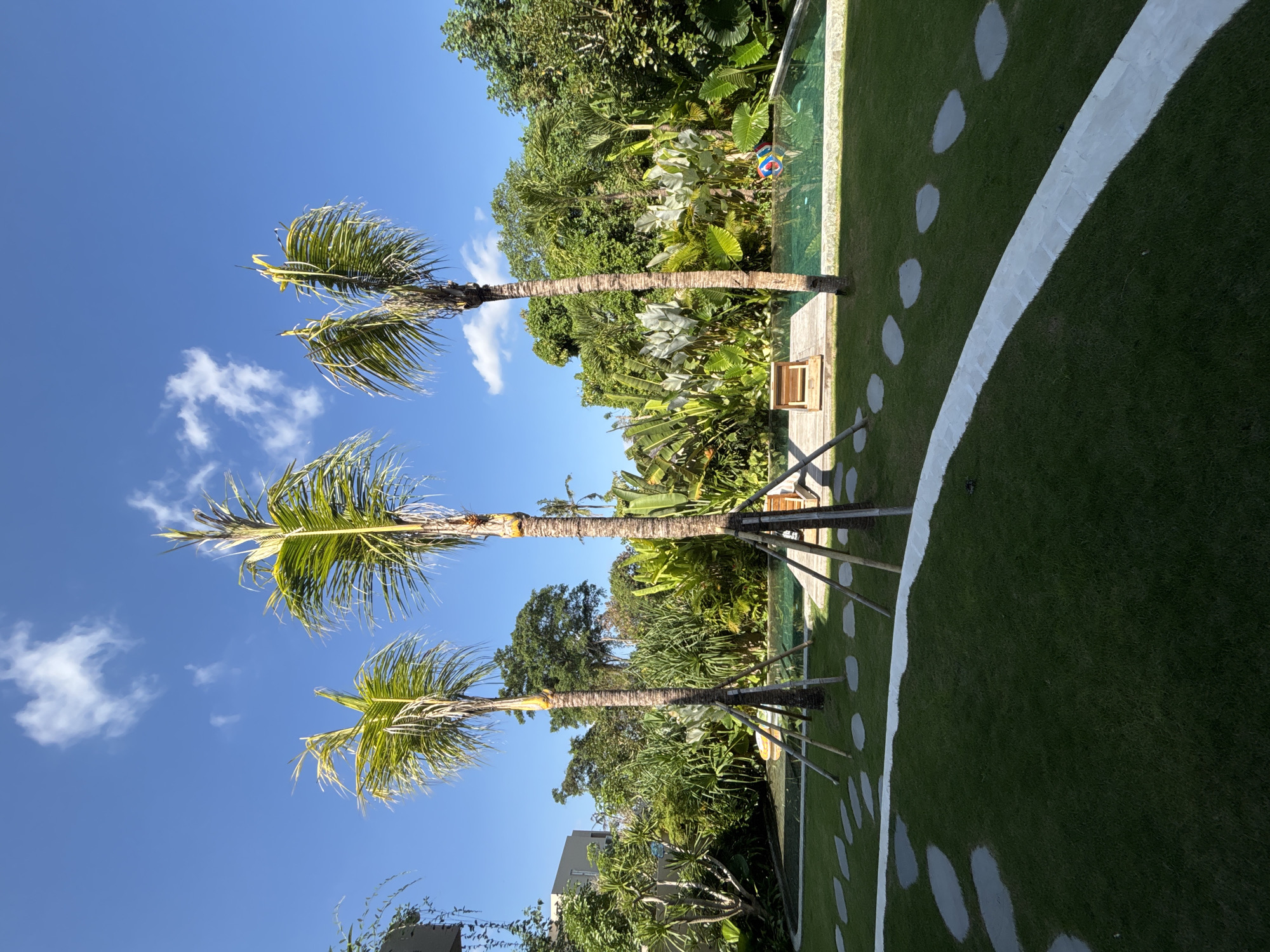 The image depicts a serene outdoor scene in Mengwi, Indonesia, likely a private residence or resort. Three mature palm trees stand tall in the foreground, their trunks supported by wooden bracing. Beyond them, a glistening swimming pool with clear turquoise water is visible, featuring a colorful inflatable ball floating near the edge. A wooden deck with a lounge chair sits adjacent to the pool, overlooking the lush tropical foliage that surrounds the property. The ground is covered in a vibrant green lawn, punctuated by a path of stepping stones and a white, winding walkway. The sky is a brilliant blue, with a few wispy white clouds. The overall atmosphere is one of tranquility and relaxation, characteristic of tropical getaways.