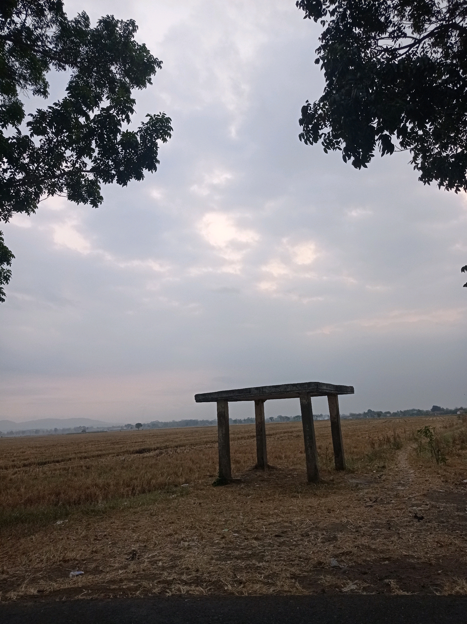 The image depicts an outdoor scene with a concrete structure in the foreground, possibly a bench or a pavilion remnant, standing in a field of dry, harvested crops. The field extends into the distance, meeting a hazy horizon with faint outlines of hills. The sky is overcast with diffused light, suggesting an early morning or late afternoon. Two large trees frame the top of the image, their dark foliage silhouetted against the cloudy sky. The ground is covered in dry grass and scattered debris, with a paved surface visible at the bottom edge, likely a road or pathway. The overall impression is one of rural stillness and a somewhat desolate landscape. The location is identified as Sumilir, Indonesia.