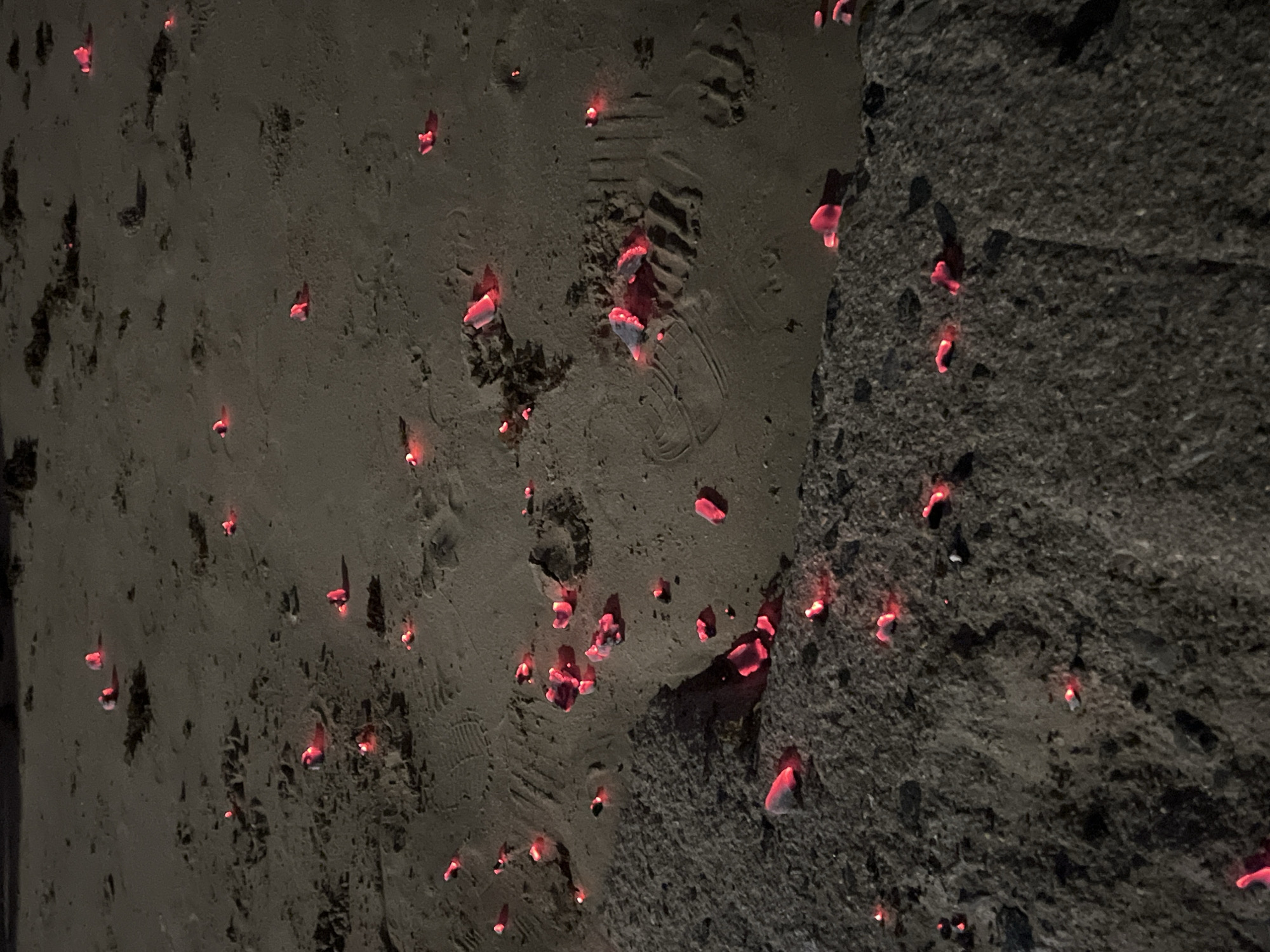 The image depicts a sandy or ashy surface, possibly a beach or construction site, littered with numerous small, glowing red objects. These objects are scattered across the surface and partially embedded in the material. The presence of a footprint suggests recent human activity in the area. To the right, a rough, textured surface, possibly concrete or a wall, is visible. The darkness of the image indicates a nighttime setting. There is no indication in the picture that this is Bắc Nha Trang, Vietnam.