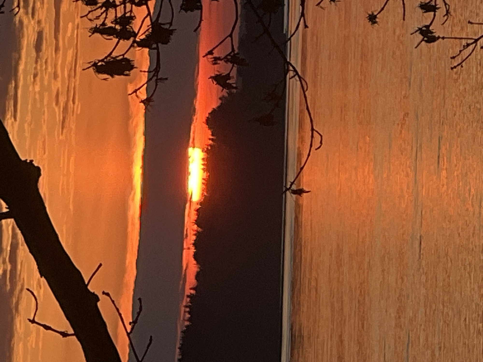 The image depicts a sunset over water, with silhouetted tree branches in the foreground. The sun is setting behind a dark landmass, creating a bright orange glow reflected on the water's surface. The light creates vertical streaks across the water. I cannot determine the location in the city of Riga, Latvia, because there are no identifying landmarks in the image.