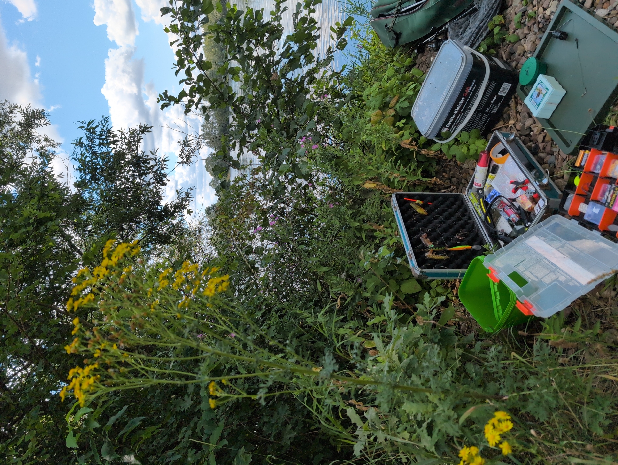 The image depicts an outdoor scene near a body of water, likely a river, under a partly cloudy sky. The foreground is covered with gravel and grass. Several fishing-related items are arranged on the ground, including an open tackle box filled with fishing lures, a transparent fishing lure organizer with multiple compartments, a green bucket, and a large grey tub labeled "Geräte-Kleister". A green fishing bag is visible in the upper right corner. Lush green vegetation, including tall plants with yellow flowers and leafy bushes, dominates the middle ground and frames the body of water in the background. The water appears calm, reflecting the sky. The scene suggests a fishing spot on the banks of the Weser River in Petershagen, Germany, given the context provided by the location. There are no people visible in the image.