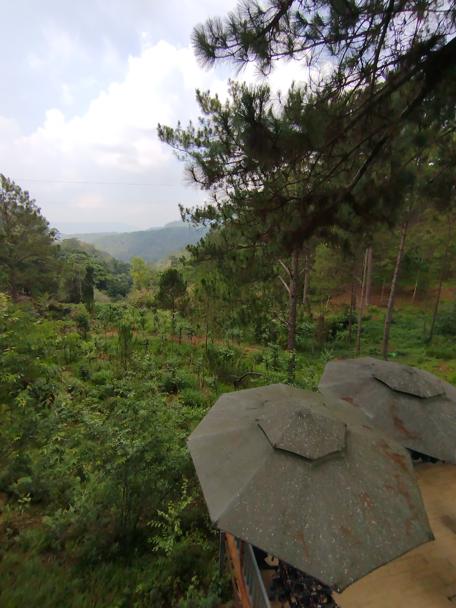 The image captures an expansive, elevated view of a lush, green landscape, characteristic of a mountainous or hilly region like Da Lat, Vietnam. The scene is dominated by dense vegetation, with numerous trees and shrubs covering the terrain. Pine trees, with their distinct needle foliage, are prominent, framing the top and sides of the photograph, and also populate the middle ground. Below, a valley or slope showcases a mix of wild growth and what appear to be cultivated rows of smaller plants, suggesting agriculture or reforestation efforts. In the distant background, hazy mountains or hills recede into the cloudy sky.
In the bottom right corner, two weathered, dark grey, multi-faceted roof structures are visible, resembling large outdoor umbrellas or small shelters. These structures show signs of age, with visible dirt or stains on their surfaces. The sky above is overcast with white and light grey clouds, indicating a cloudy daytime setting. There are no people visible, and no specific activities are taking place; the image presents a static, tranquil natural vista. No discernible text is present in the image.