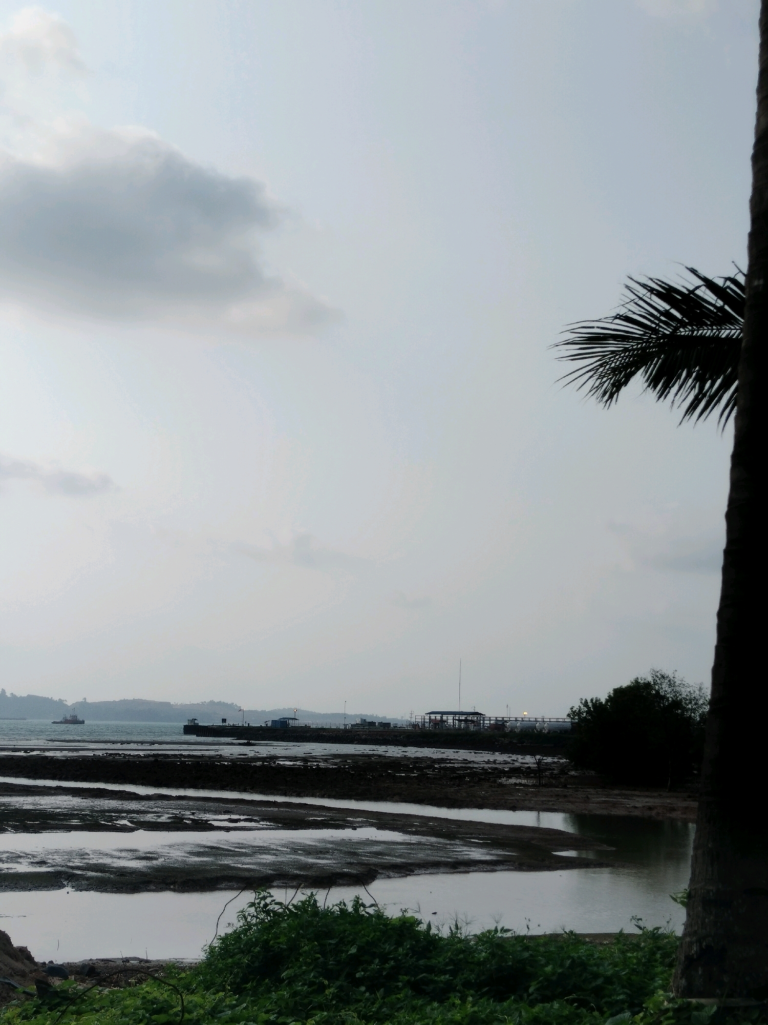 This image captures a view of a coastal area in Batam, Indonesia, likely during low tide. In the foreground, lush green vegetation lines the bottom of the frame, with dark soil visible to the left. The middle ground features a tidal flat, characterized by exposed mud and shallow pools of water reflecting the overcast sky. Further back, a body of water, likely the sea, is visible. A red boat can be seen in the distance on the water, to the left. A pier or jetty extends into the water, with several structures and a large cylindrical tank visible on it. Trees and foliage are scattered along the coastline in the distance, with hills or landmasses forming the horizon under a cloudy sky. A portion of a palm tree trunk is prominent in the far right foreground, silhouetted against the sky.