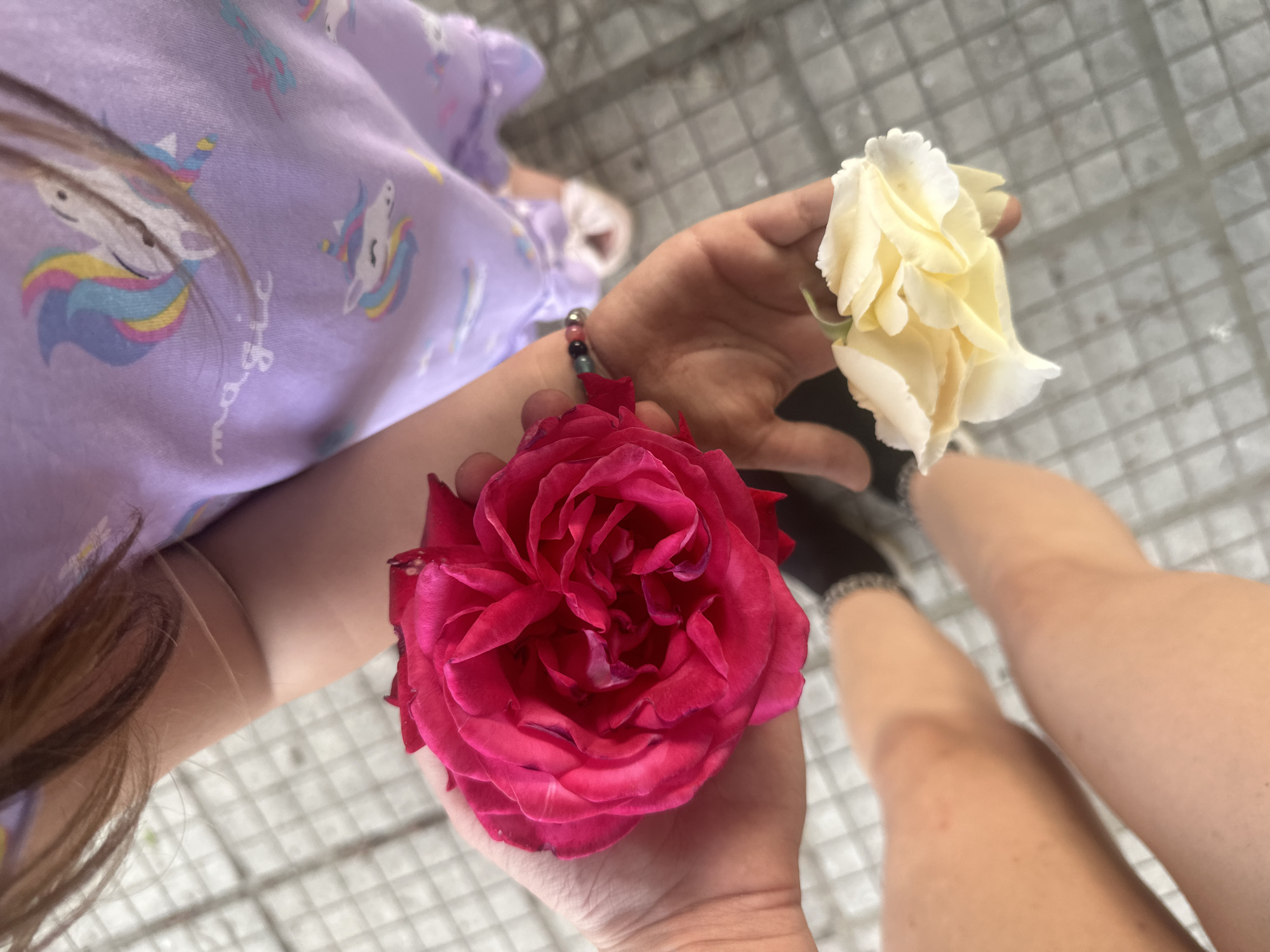The scene is a view from above looking down at two people standing on a light grey tiled surface. On the left, a person wearing a light purple shirt with unicorn patterns is holding a large red rose in their hand. The person is also wearing a beaded bracelet. On the right, another person with tan legs wearing black socks and shoes is holding a light yellow rose. The location is implied to be Resen, Bulgaria.
