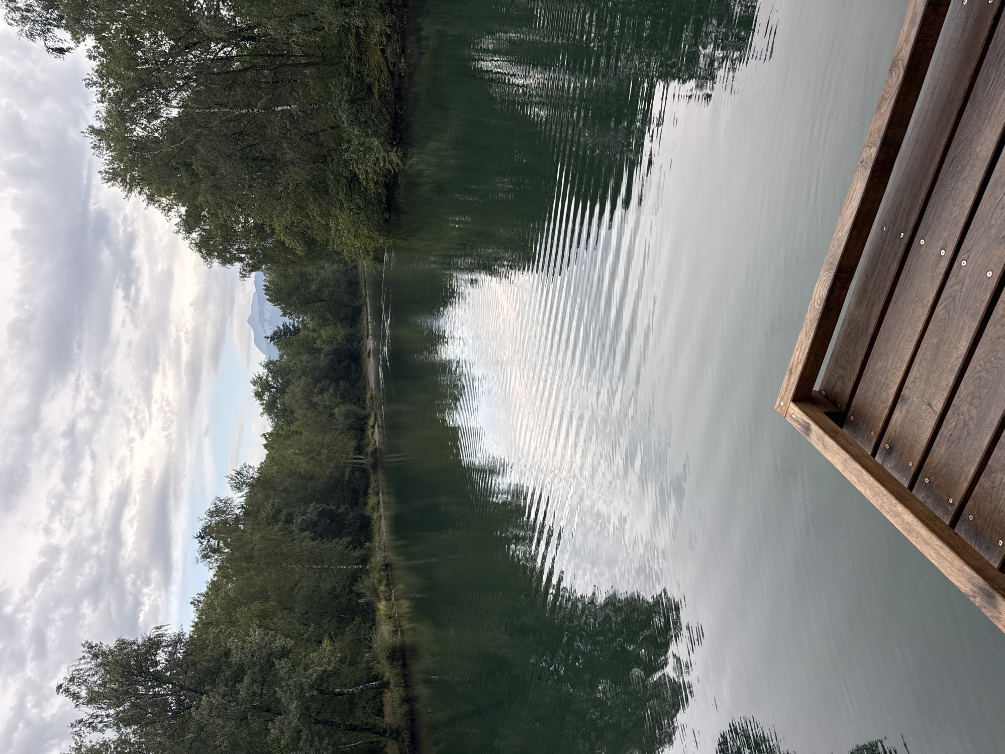 This is a vertical, eye-level, medium shot photograph of a calm body of water, likely a lake or slow-moving river, bordered by dense green trees on both sides. In the foreground, a wooden dock extends into the water, constructed of dark wooden planks with visible screw heads. The water is a deep, rich green, reflecting the surrounding trees and the cloudy sky. Ripples are visible on the surface of the water, creating a pattern of light and shadow. In the distance, a faint mountain range is visible under a heavily clouded sky. The overall mood is serene and natural, suggesting a peaceful, undeveloped natural area. There are no people visible in the image. The scene is likely a natural landscape, possibly a park or nature reserve, and does not appear to be within the city of Sallanches, France, as there are no urban elements present.