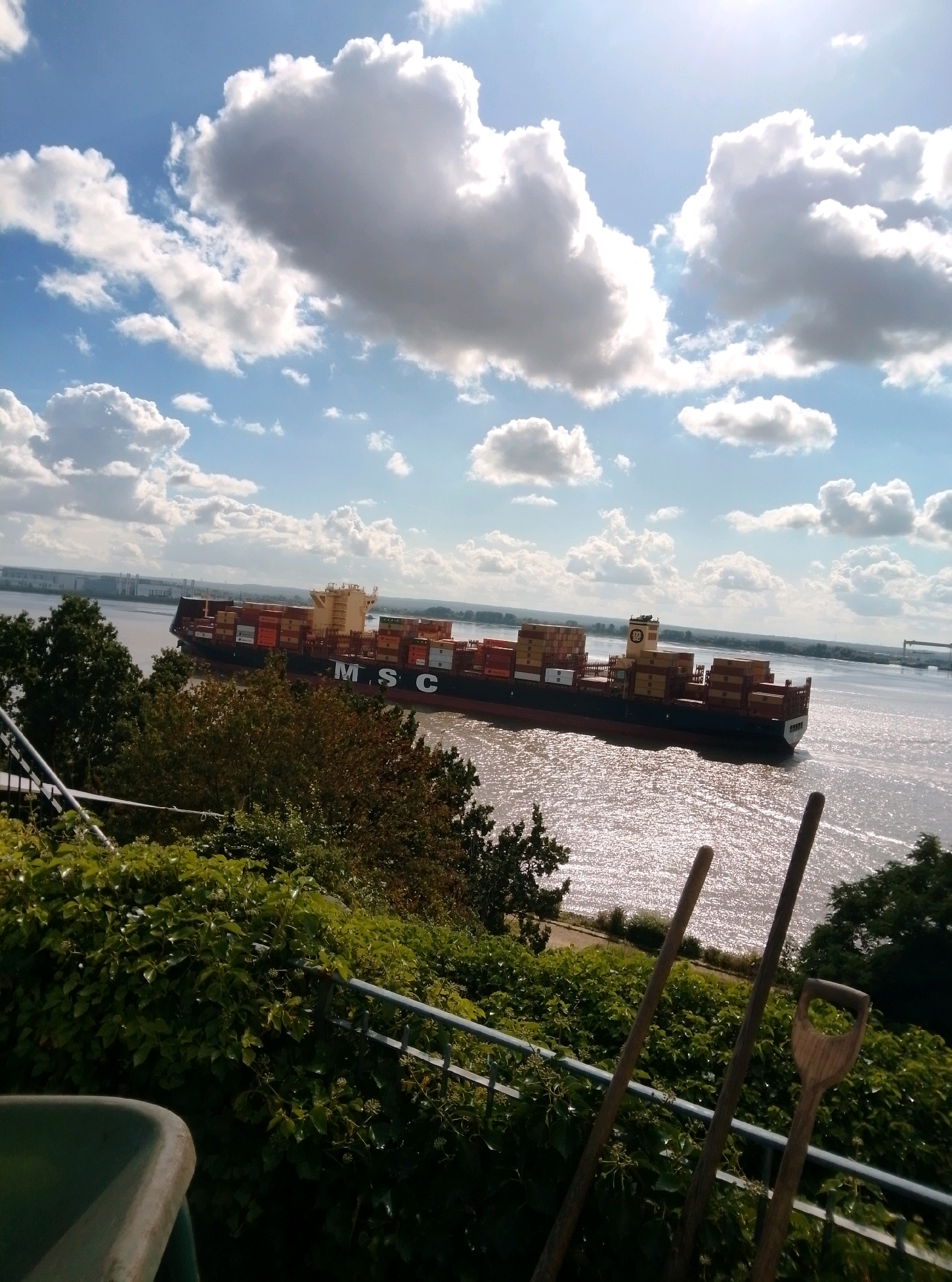 A large container ship, identified by the "MSC" logo on its hull, sails on a wide, sun-drenched river. The ship is laden with numerous stacked cargo containers, primarily in red and yellow. The water's surface reflects the bright sunlight, creating a shimmering effect. In the foreground, lush green foliage covers a slope, with a metal railing running along its edge. Two wooden-handled gardening tools, a spade and two poles, lean against the railing. Trees are visible on the left and right sides of the image, partially obscuring the background. The sky above is a vibrant blue, dotted with fluffy white clouds. The scene appears to be a panoramic view from an elevated position overlooking the river and the ship. Given the presence of such large container ships and the general landscape, this scene is likely located in Hamburg, Germany, specifically along the Elbe River, a major artery for maritime traffic into the Port of Hamburg.