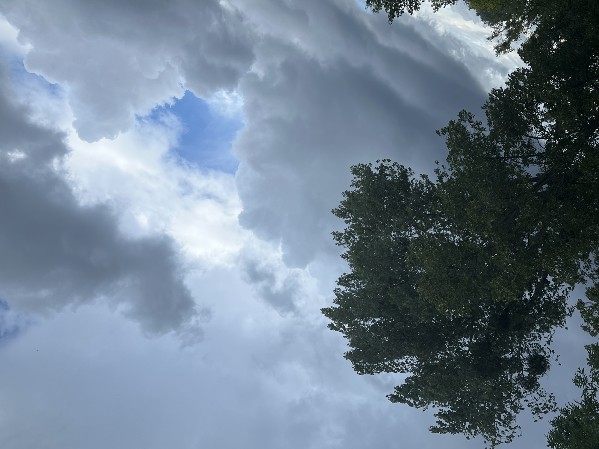 A low-angle shot captures the dramatic sky above Warsaw, Poland, with a dense canopy of dark green trees in the foreground. The sky is a turbulent mix of dark grey storm clouds and patches of bright blue. The clouds appear heavy and textured, suggesting an impending storm or recent rainfall. The trees are silhouetted against the sky, with their leaves appearing lush and full. The lighting is diffused, with the brighter areas of the sky creating a slight halo effect around the cloud edges. The overall atmosphere is one of natural grandeur and impending weather change.