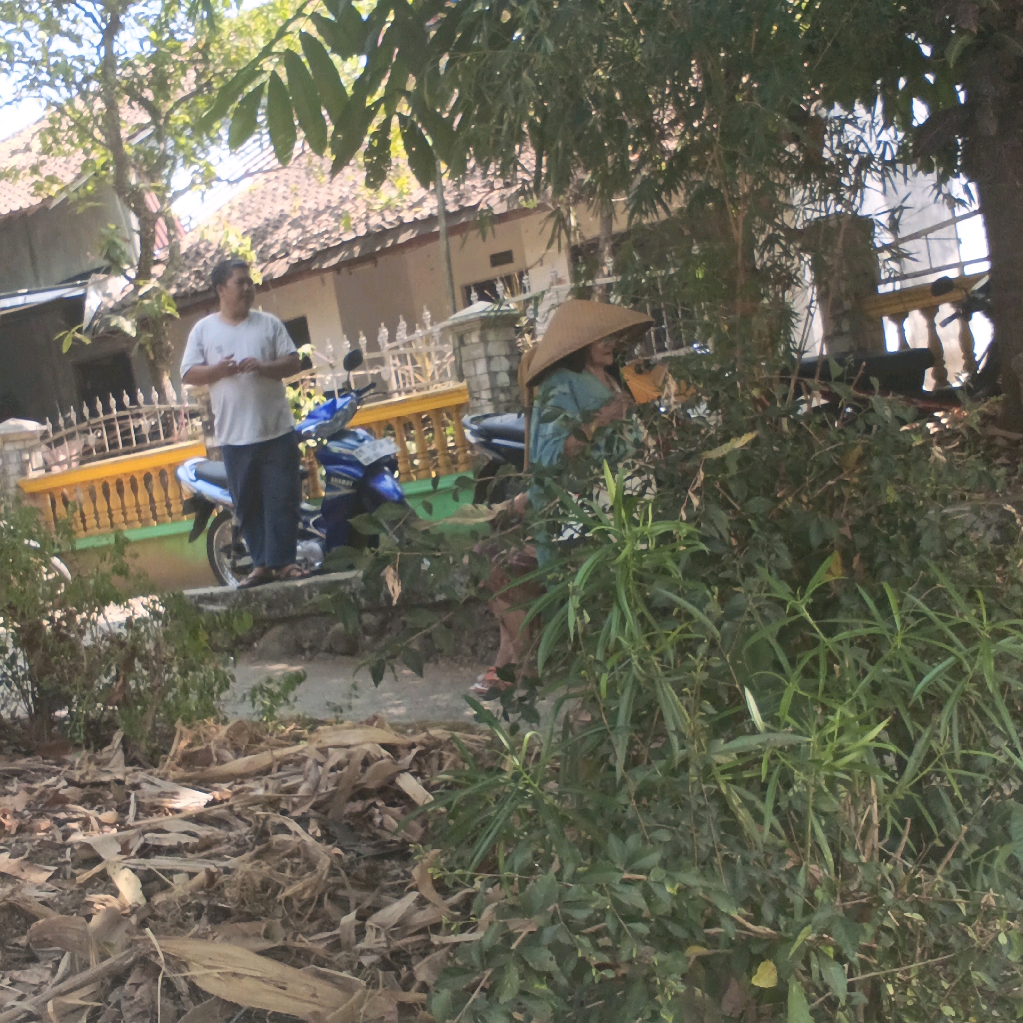 A medium shot captures a scene outdoors, likely in Mangli, Indonesia, on a sunny day. In the foreground, a pile of dried leaves and debris lies on the ground. To the left, a man in a light-colored t-shirt and dark pants stands next to a blue motorcycle. He is facing slightly away from the camera, with his hands clasped in front of him. Behind the motorcycle is a decorative yellow and green fence. To the right, a woman wearing a conical hat and a teal-colored top is partially obscured by lush green foliage. She is holding a yellow object, possibly a bag or umbrella. In the background, a building with a tiled roof is visible. The environment suggests a residential or semi-rural setting.