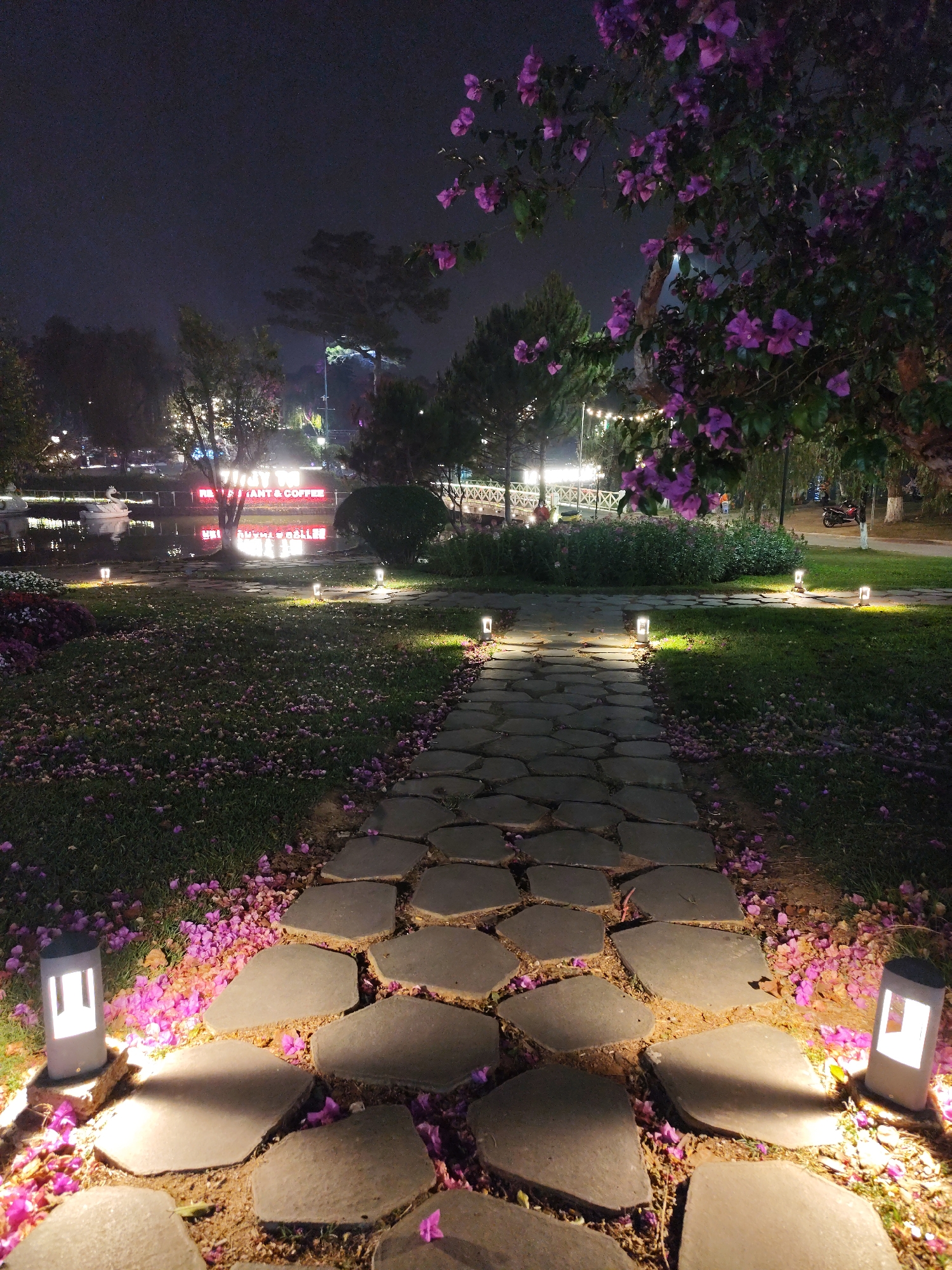 A stone pathway illuminated by low-level square light fixtures leads through a park setting at night in Da Lat, Vietnam. Purple flowers are scattered along the pathway edges and in the grassy areas on either side. A body of water, possibly a lake, is visible in the background with a brightly lit sign that reflects in the water. Trees and shrubbery are scattered throughout the background. The night sky is dark. The lighting is minimal but enhances the pathway, trees, and flowers.