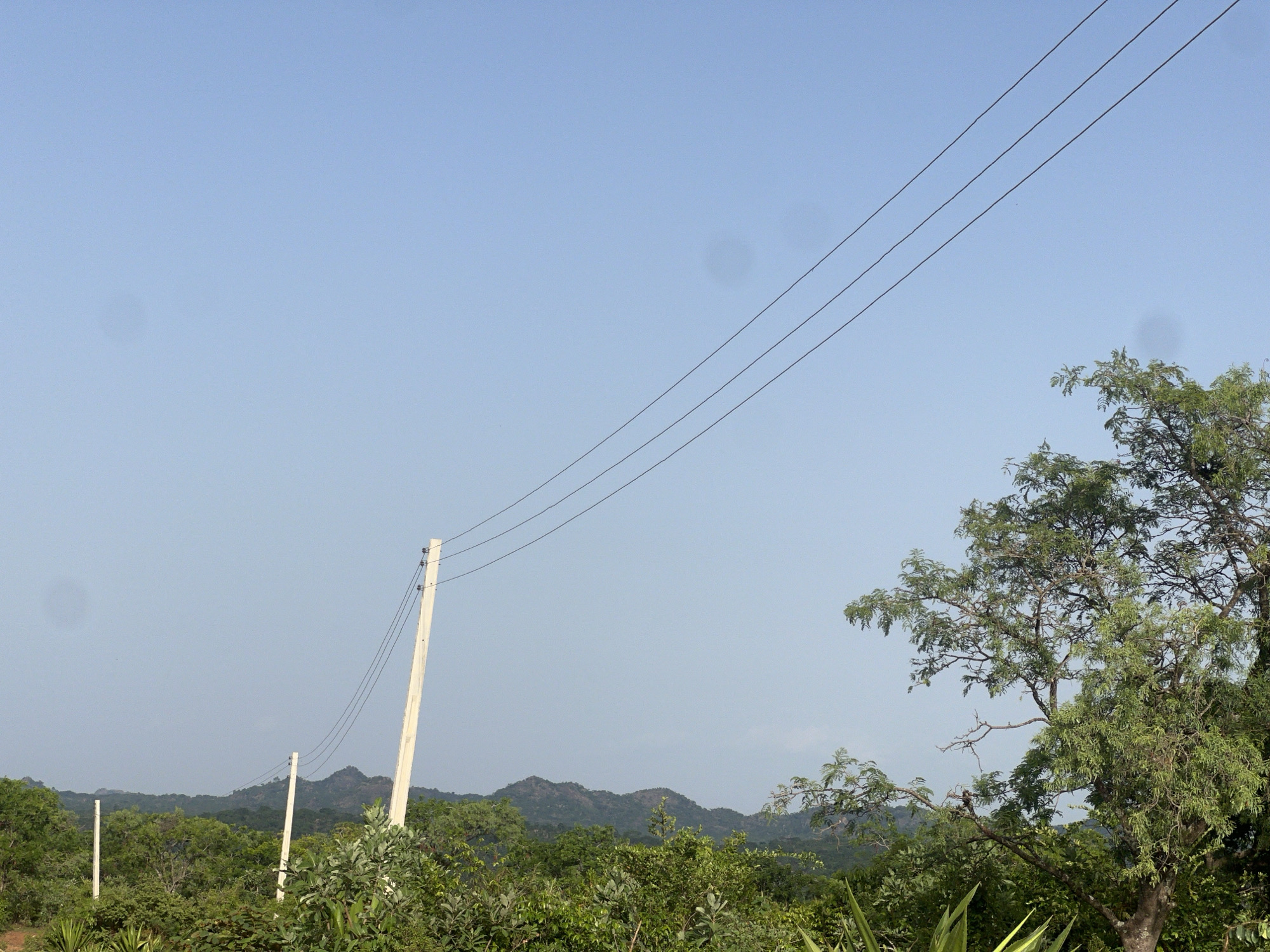 The scene depicts a landscape in Fobur, Nigeria, under a clear, pale blue sky. Three electrical poles stand amidst dense green vegetation, carrying three horizontal power lines across the frame. The vegetation appears lush and varied, including trees and smaller shrubs. The poles, which look like they are made from concrete, appear weathered. Low, rolling hills or mountains are visible in the distance. A large tree with dense foliage occupies the right side of the image. No people are visible.