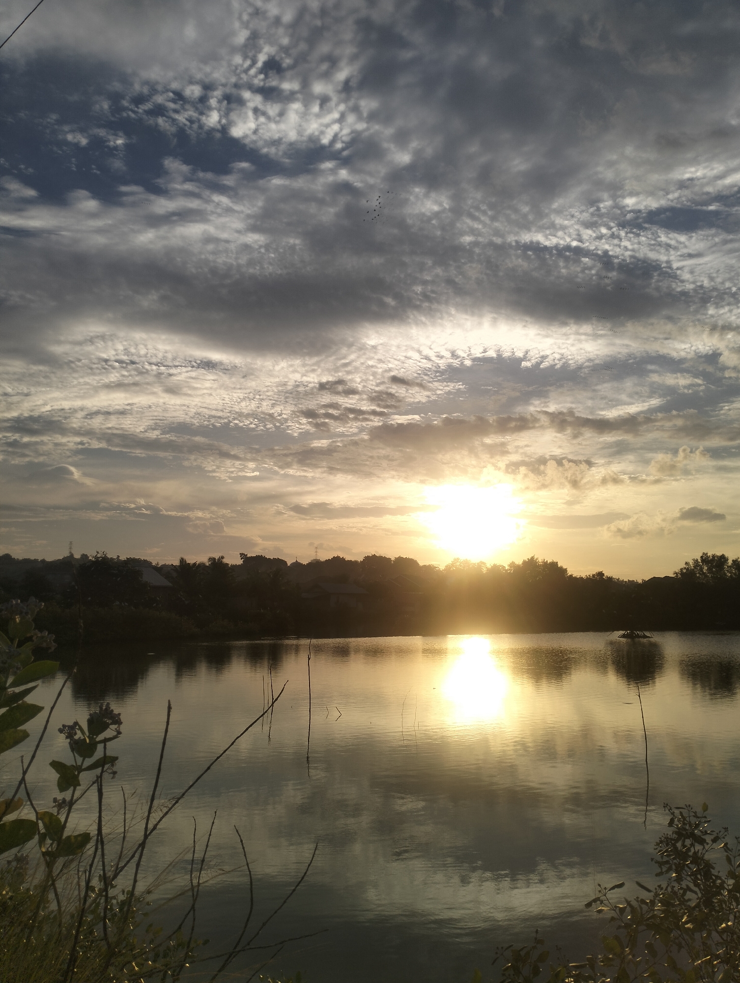 The image captures a sunset over a body of water, likely a pond or lake, in Lhokseumawe, Indonesia. The sun is low on the horizon, casting a bright, golden glow that reflects vibrantly on the water's surface. Wispy clouds, tinged with the colors of the sunset, stretch across the sky. Silhouetted against the bright sky is a line of trees and some buildings, suggesting a populated area on the far bank of the water. In the foreground, the dark shapes of plants and branches frame the scene on the left and bottom right. The water is calm, with a gentle ripple from a few vertical reeds or sticks protruding from it. The overall atmosphere is serene and tranquil, typical of a sunset in a coastal or rural setting.