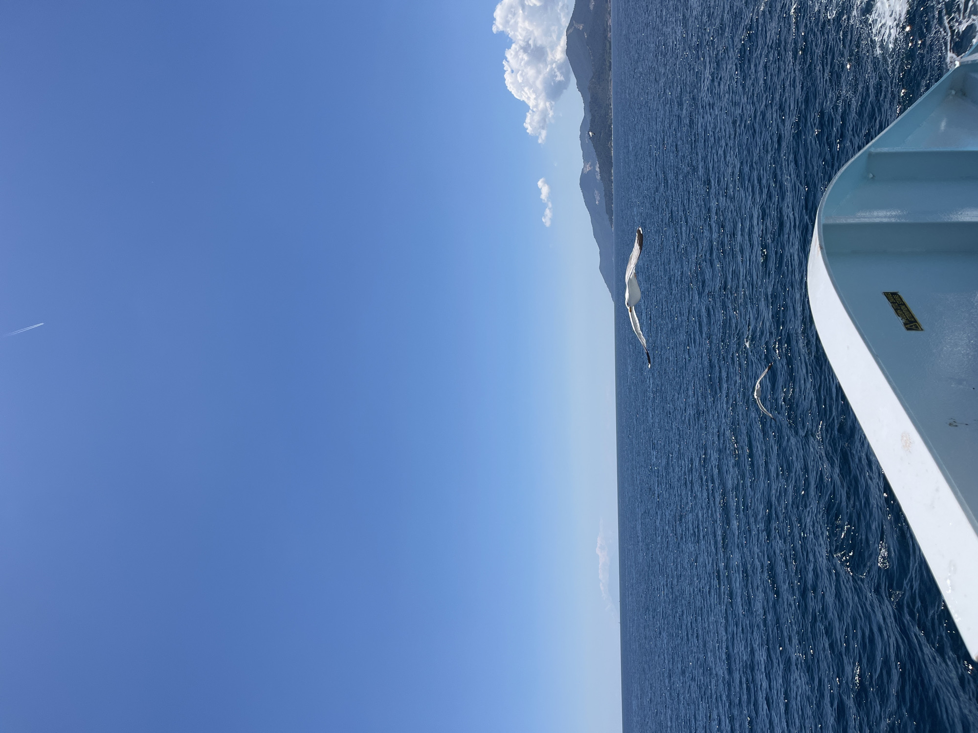 The image shows a bright, sunny day with a clear blue sky. The sea is a deep blue and appears to be a bit choppy. In the foreground, the edge of a boat is visible, with a white railing and some warning labels. A seagull is captured in mid-flight, soaring over the water. In the background, a line of mountains can be seen, with some fluffy white clouds gathering above them. The overall impression is one of a serene and picturesque seascape.