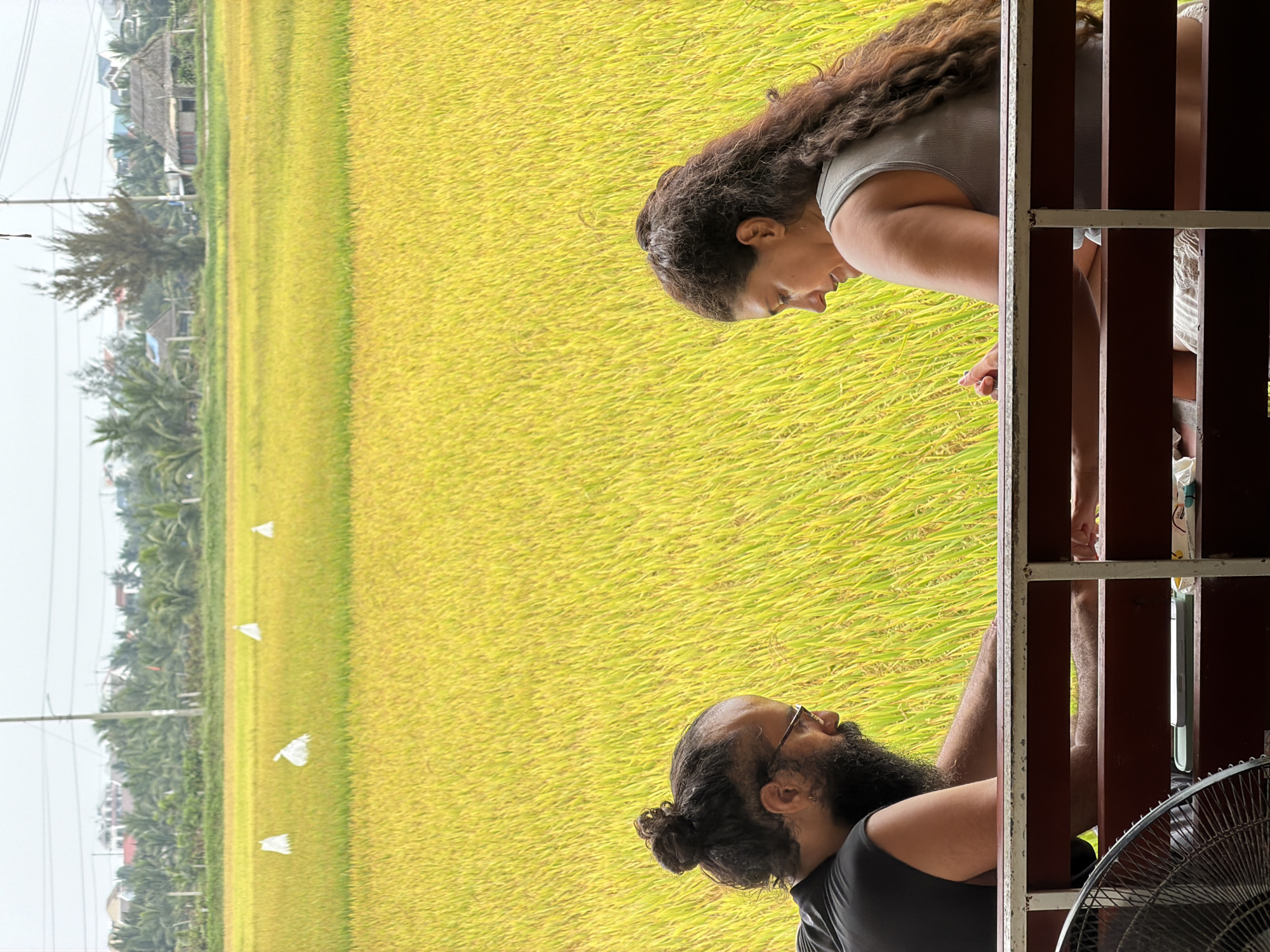 The image, when properly oriented, shows two people observing an expansive golden rice field from a raised vantage point, likely a balcony or a viewing deck.
In the foreground, partially framed by dark wooden railings, are a woman and a man. On the left, a woman with long, dark, curly hair wears a light-colored tank top. She is seen in profile, looking downwards and slightly to her right, with her right arm and hand visible near the railing. To her right, a man with a dark beard, glasses, and his hair tied back in a bun is also present. He wears a dark t-shirt and is looking upwards and to his left, appearing to survey the scene. A portion of a metal fan blade is visible in the bottom right corner, suggesting an indoor or semi-sheltered area.
The vast midground is dominated by a vibrant, golden-yellow rice field, indicating it is ripe or ready for harvest. Several small, white, triangular objects, possibly scarecrows or markers, are dotted across the field. In the far background, beyond the rice paddies, a horizon line reveals clusters of palm trees, distant buildings, and utility poles with power lines, characteristic of a rural or peri-urban landscape. The sky is bright but diffused, suggesting an overcast day or a soft-light period like late morning or afternoon. The overall atmosphere is one of calm observation. The setting aligns with the provided context of Đà Nẵng, Vietnam. There is no visible text in the image.