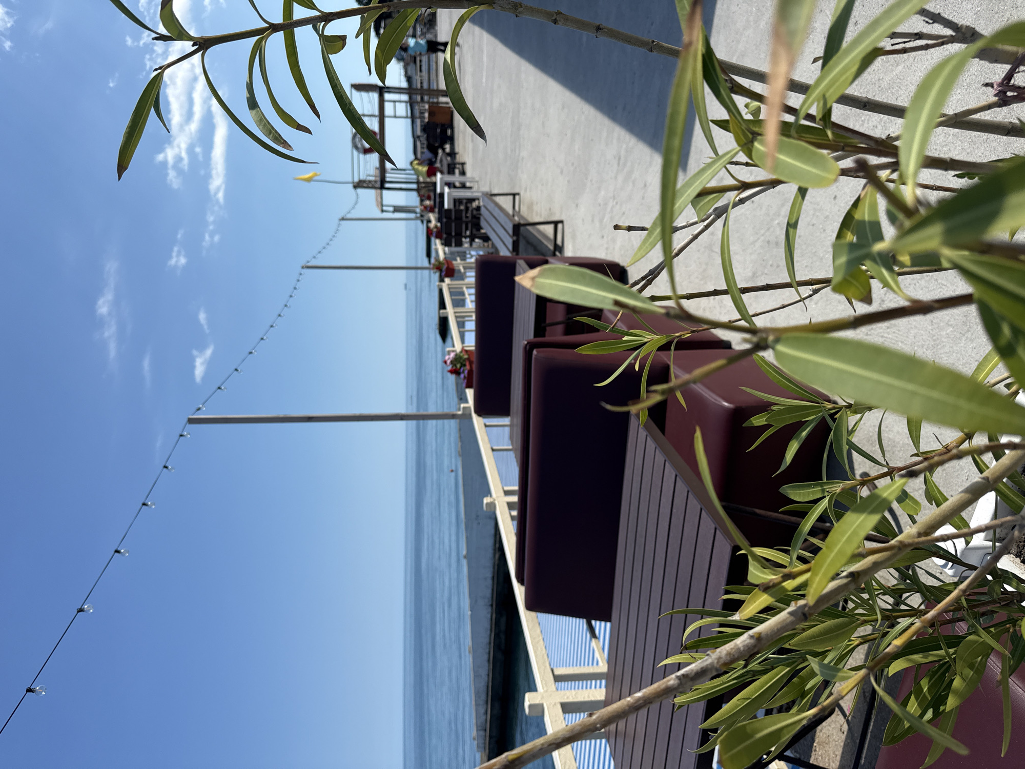 The image captures an outdoor cafe or restaurant terrace overlooking a calm body of water under a clear blue sky. In the foreground, from the right and partially obscuring the view, are branches with narrow green leaves, likely from an oleander plant.
The main subject is a long, elevated seating area that extends from the midground towards the left background. It features a row of dark maroon or brown cushioned benches and slatted wooden tables, some adorned with small pots of red flowers. Further down the terrace, white tables and chairs are visible, along with glimpses of other patrons, though their details are indistinct. The flooring of the terrace appears to be light-colored concrete or pavement.
To the left, a vast expanse of tranquil blue water meets a bright blue sky dotted with scattered wispy white clouds. A string of decorative light bulbs stretches diagonally across the upper left portion of the sky, anchored by a tall, light-colored pole on the far left. A small yellow flag is visible in the distant background.
The scene depicts a sunny day, suggesting pleasant weather, possibly late morning or early afternoon. The setting is a serene, waterside establishment, offering a relaxing ambiance. There is no visible text in the image.