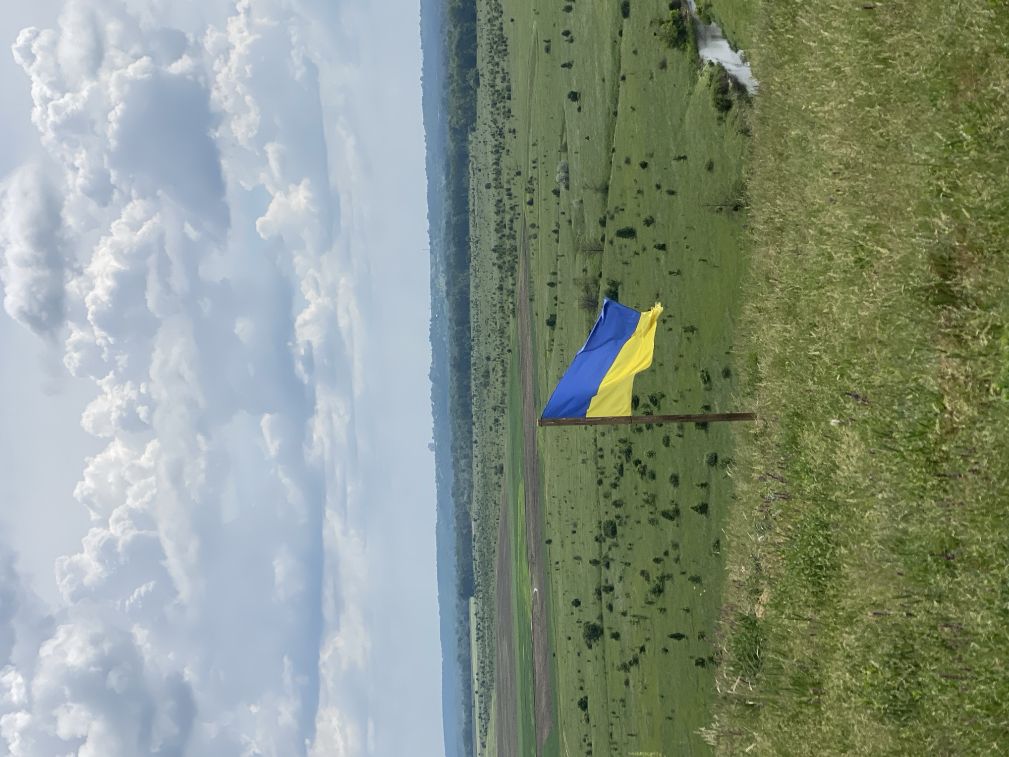 A landscape photograph shows a Ukrainian flag on a wooden pole against a backdrop of a green field, a distant line of trees, and a cloudy sky. The flag is positioned in the center of the frame, with the blue stripe above the yellow stripe. The green field extends behind the flag, punctuated by scattered dark green bushes. Beyond the field is a dense line of trees, indicating a forest or wooded area. The sky above the trees is partially covered with fluffy white clouds. The foreground on the right side of the image is filled with tall green grass. The location is Ustyvytsia, Ukraine.