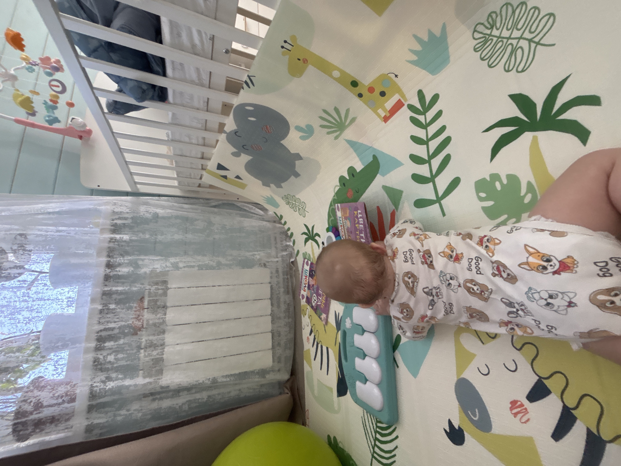 This media file depicts a baby playing in a brightly lit room, likely a nursery or dedicated play area, in Раздолье, Russia. Natural daylight streams in from a window on the left, partially obscured by sheer, textured white and blue curtains.
A baby, seen from the back of the head, is lying face down on a colorful play mat, engaging in what appears to be tummy time or floor play. The baby is dressed in a light-colored onesie patterned with various cartoon dog illustrations and the visible text "Good Dog," "Dog," "Pudgy," and "POPS." The baby's left hand is positioned near a light blue toy keyboard with white keys, and several children's books are stacked beside it. Text visible on the books includes "ПРЫГ," "ETA," "МИКО," "кола," and "КАРТЫ."
The play mat itself is decorated with a vibrant jungle or safari theme, featuring illustrations of a yellow giraffe, a grey hippo, a green crocodile, and a partially visible zebra, interspersed with green plant motifs like palm trees and other foliage.
Adjacent to the play mat and the baby is a white slatted crib or playpen, inside which some blue bedding or clothing can be seen. A baby mobile with colorful hanging toys in orange, yellow, and pink is attached near the crib. A bright green ball is partially visible in the bottom-left corner of the frame. The scene conveys a cheerful and stimulating environment designed for a child's interaction and development during the daytime.