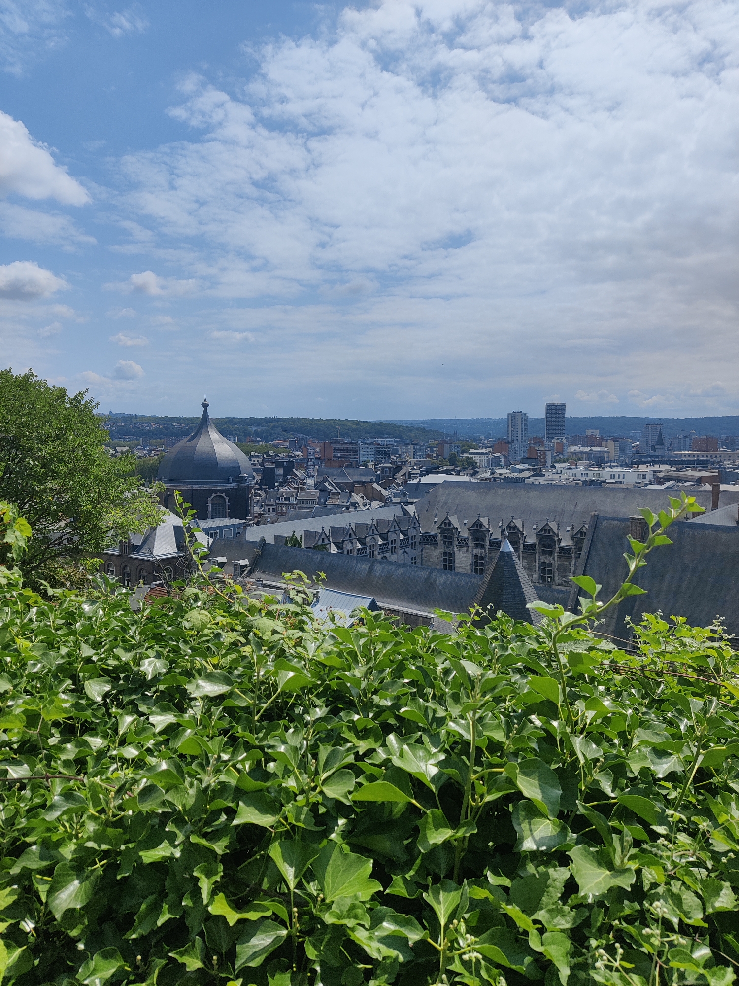 The image captures a scenic vista of the city of Liège, Belgium, as viewed from an elevated vantage point. In the foreground, a dense canopy of lush green ivy partially obscures the view, creating a natural frame. Beyond the foliage, the rooftops of historic buildings with dark grey slate and intricate architectural details dominate the midground. Prominent among these is a large, domed structure with a distinctive pointed finial, likely a significant landmark such as the Sint-Paulus Cathedral. Further in the distance, the urban landscape unfolds with a mix of residential buildings and modern high-rises, hinting at the city's blend of historical and contemporary architecture. The background is characterized by rolling hills covered in greenery, suggesting the city's proximity to natural landscapes. The sky above is a clear blue, dotted with scattered white clouds, indicating fair weather. No people or specific actions are visible in the scene. The overall impression is a picturesque panorama of a European city, highlighting its architectural heritage and its integration with the surrounding environment.