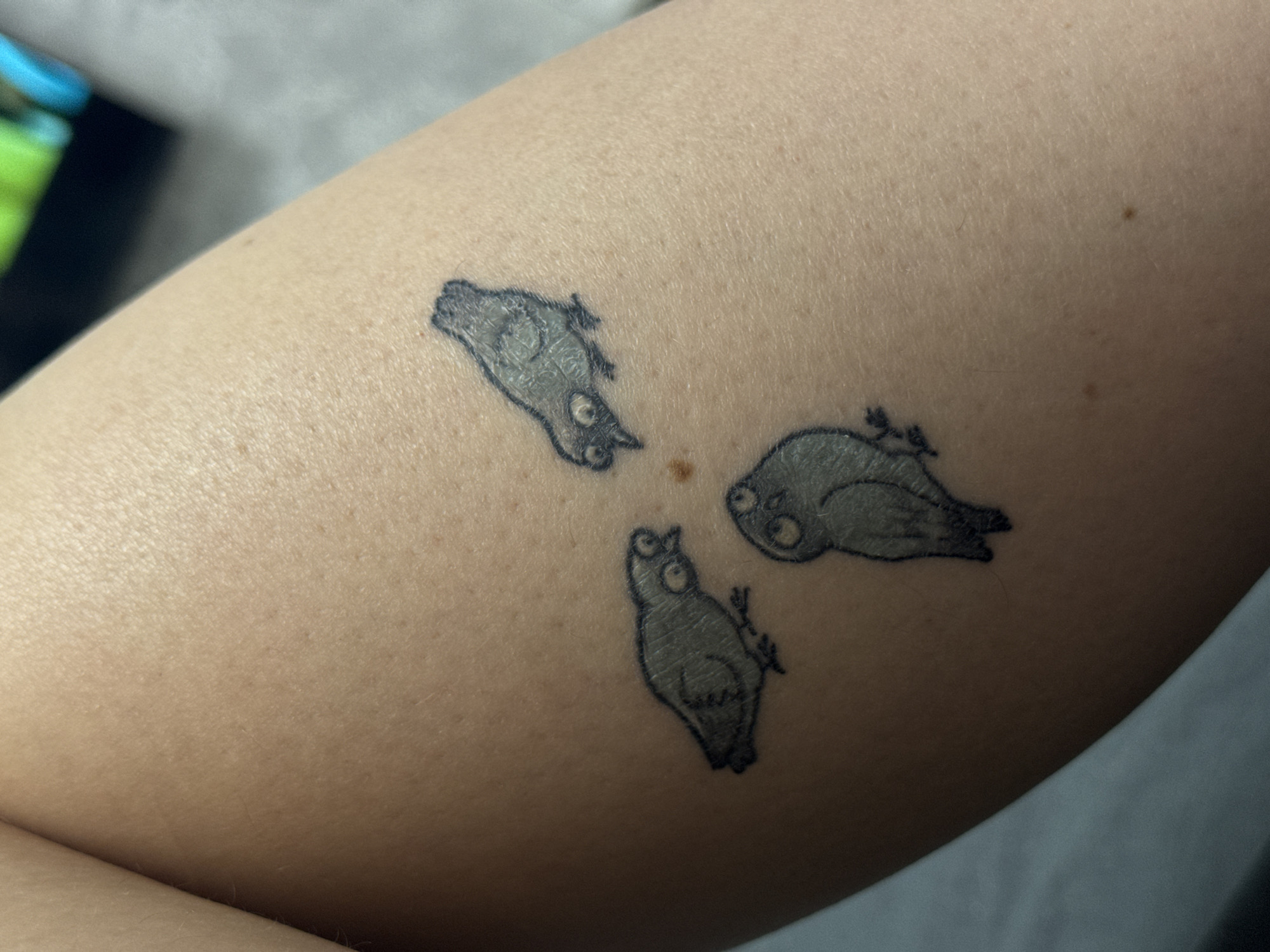 A close-up photograph depicts a segment of human skin, likely an arm or leg, displaying three cartoon-style bird tattoos arranged in a triangular configuration. Each bird is outlined in dark ink and filled with a grey tone, featuring large, exaggerated white eyes with small black pupils. The top-right bird is oriented to the right, the bottom-left bird is also oriented to the right, and the bottom-right bird faces left. All three birds appear to be looking towards a central small brown lesion, possibly a mole or freckle, on the skin. Additional smaller brown macules are visible on the surrounding skin. The skin exhibits texture, including visible pores and fine hairs. Out of focus in the background, indistinct shapes and colors, including green and blue, are present.