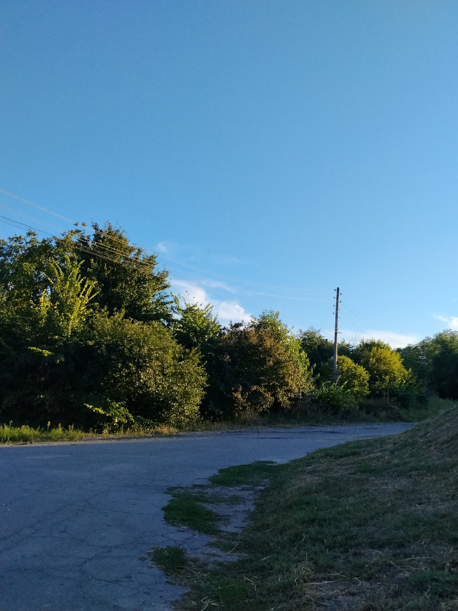 The image depicts an outdoor scene on a clear day, featuring a road curving to the right, bordered by a grassy embankment. Dense foliage, primarily trees and bushes in various shades of green, occupies the midground. A wooden utility pole with insulators and wires is visible amidst the trees, extending towards the upper right of the frame. The sky above is a bright, clear blue with a few wispy white clouds. The lighting suggests late afternoon or early morning sun, casting a warm glow on the foliage. The road appears to be paved and somewhat worn. The location is Ustyvytsia, Ukraine.