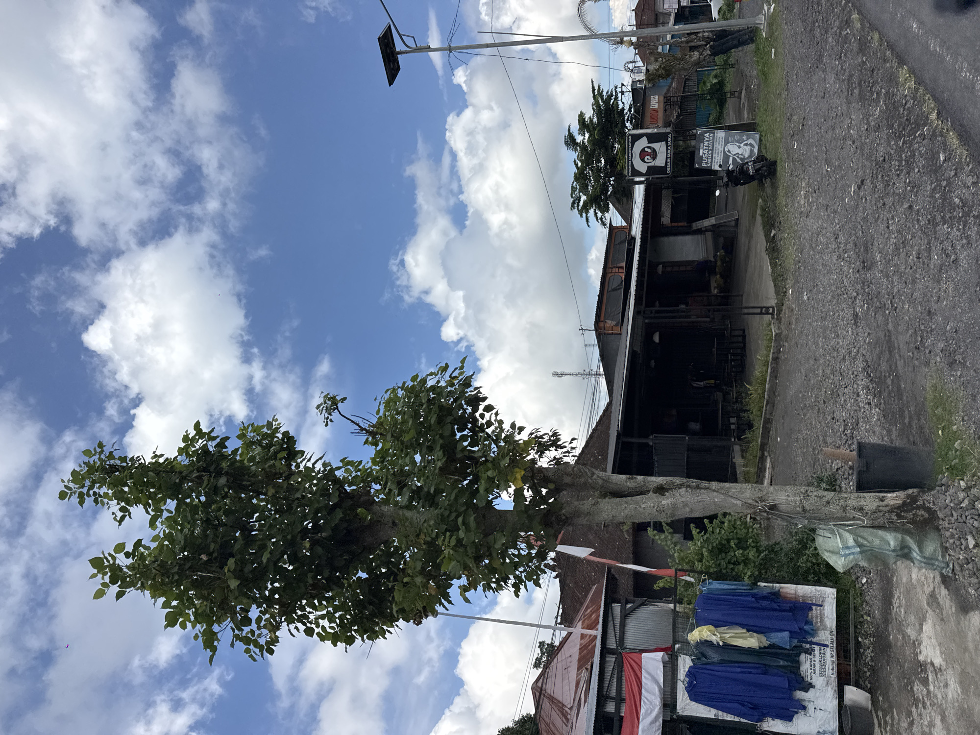 A street scene in Susut, Indonesia, under a bright, cloudy sky. A large tree with lush green leaves stands prominently in the foreground, its trunk weathered and textured. To the right of the tree, a row of shops with dark awnings lines the street. Several flags, red and white, are visible, suggesting a national holiday or celebration. In front of the shops, a rack displays various blue garments, likely clothing for sale. A motorcycle is parked near a sign that reads "PUSAKATUN SABLON KAOS". The ground is covered in gravel and asphalt. The overall impression is one of a bustling local market or commercial area. The time of day appears to be daytime, with clear skies and ample sunlight peeking through the clouds.