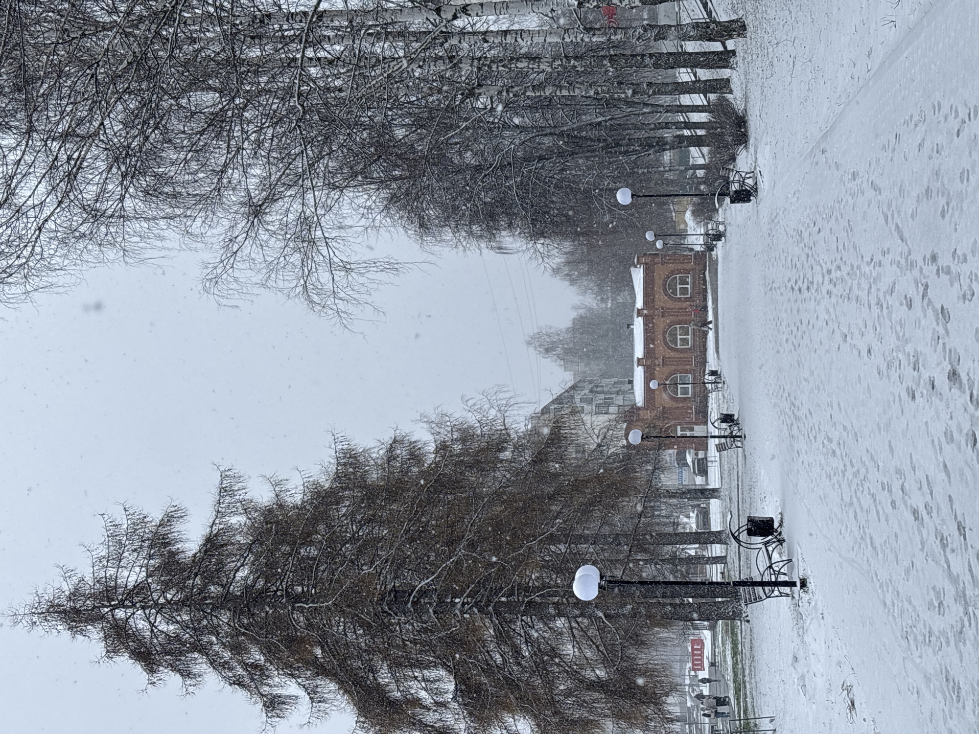 The image depicts a snow-covered alley in Chaikovsky, Russia. The alley is lined with bare trees on both sides, and lampposts with spherical lights are spaced evenly along the walkway. A brick building with arched windows is visible in the distance, partially obscured by the snowfall. The ground is covered in snow, and footprints are visible. There are benches along the alleyway. The sky is overcast and white, indicating a winter day with ongoing snowfall.