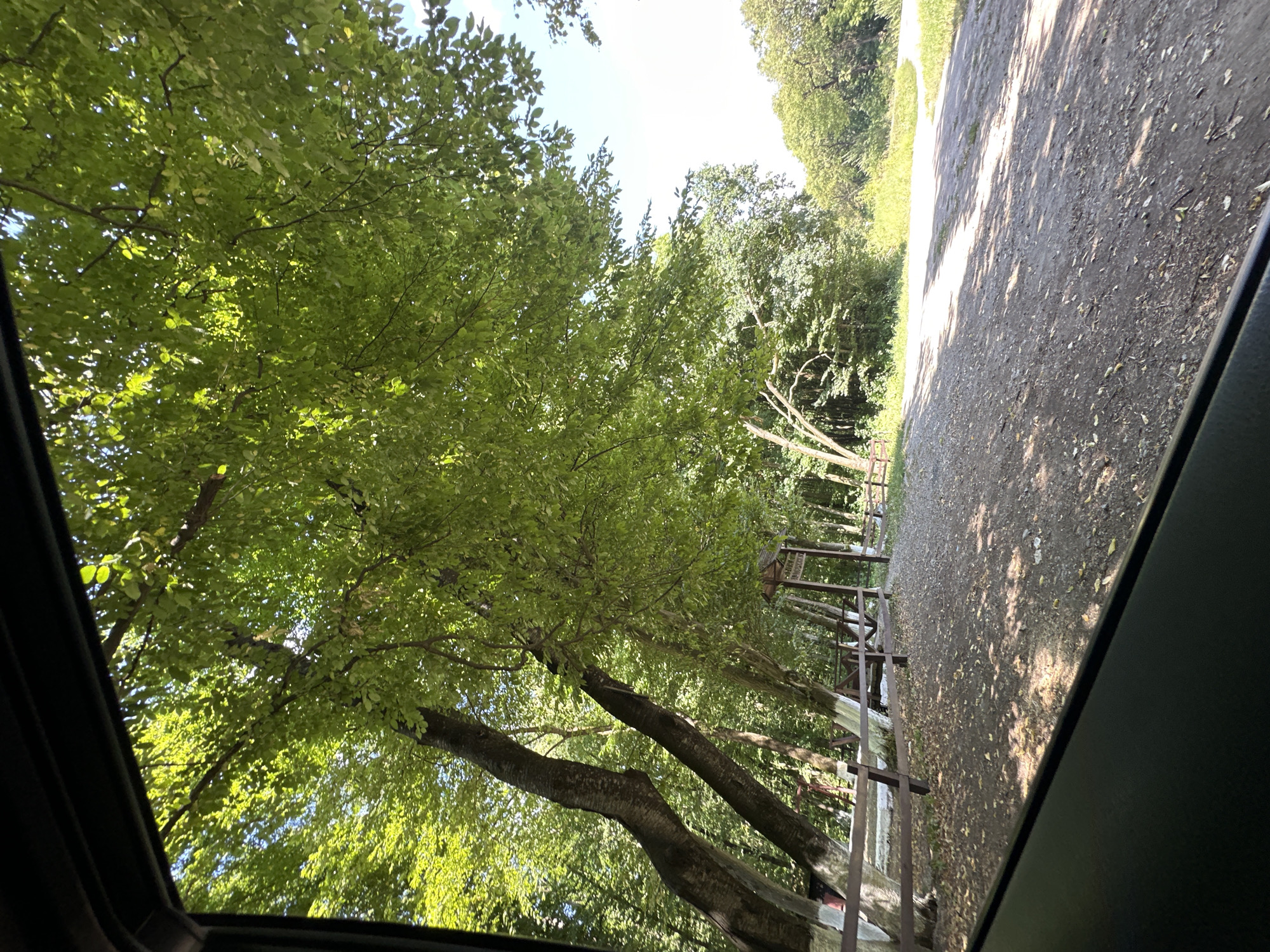 The image captures a view from within a vehicle, looking out through a window at a tree-lined path. Lush green foliage from large trees dominates the upper portion of the frame, with sunlight filtering through the leaves, casting dappled shadows on the ground. A rustic wooden fence runs along the left side of the path, and there are what appear to be benches or picnic tables beneath the trees. A wooden structure, possibly an information board or a small shelter, is visible further down the path. The path itself is made of dirt and gravel, with fallen leaves scattered across it. Beyond the trees, a bright sky is visible, suggesting a clear day. The scene is likely situated in a natural or park-like setting, possibly a roadside rest area or a trail entrance.
