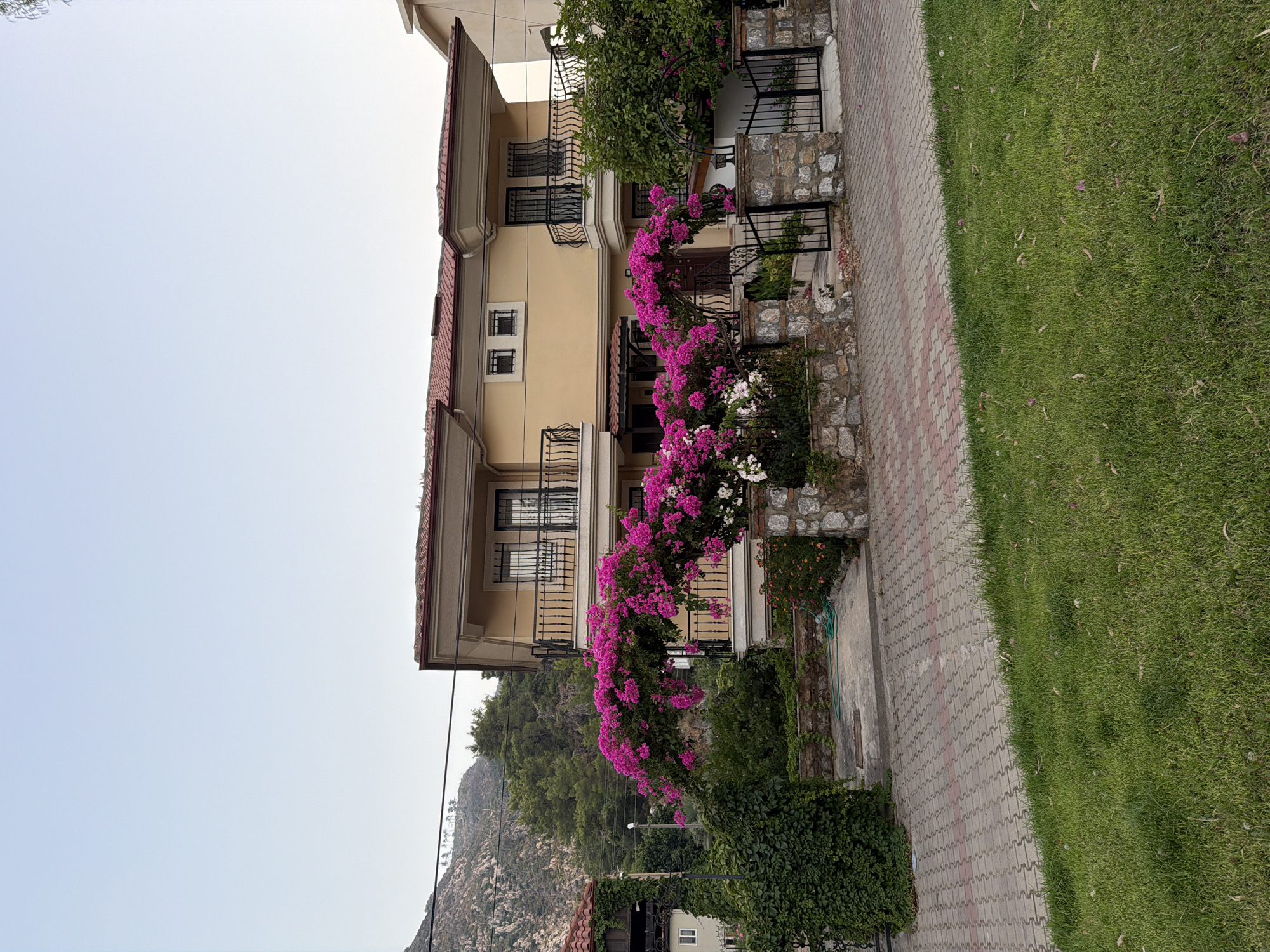 In the city of Marmaris, Turkey, a two-story house with a yellow facade and red tiled roof is visible. The house features balconies with black railings and barred windows. In front of the house, a stone wall with a black metal gate encloses a pathway paved with interlocking bricks. Vibrant pink bougainvillea flowers cascade over an archway in front of the entrance, with some white flowers also present. Lush green foliage and trees surround the property. A grassy area is visible in the foreground. The background includes a steep, tree-covered hillside and a clear sky. No people are present in the scene.