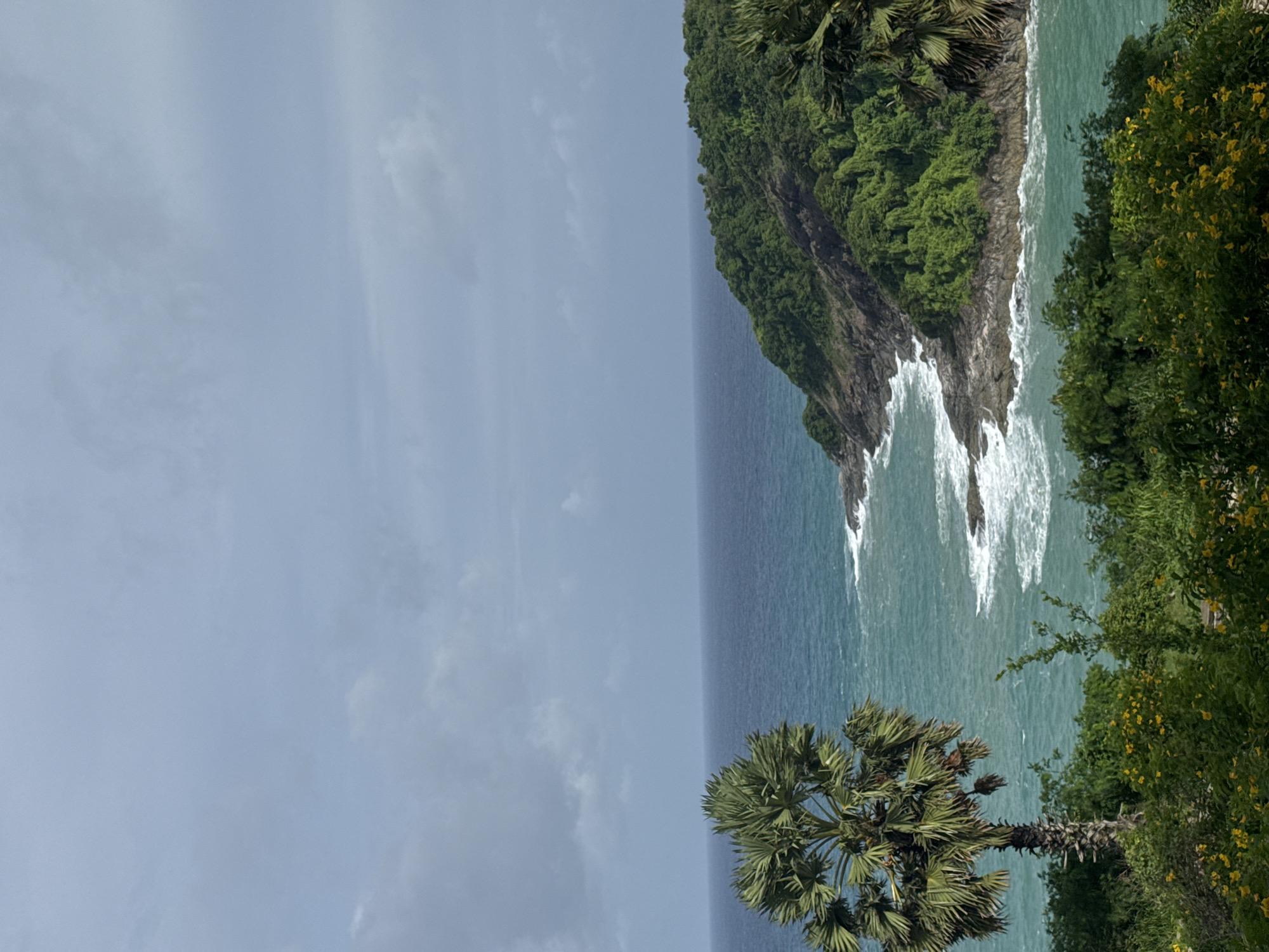 The image depicts a scenic coastal view in Rawai, Thailand, under a cloudy sky. In the foreground, lush green vegetation with bright yellow flowers and a tall palm tree with distinctive fan-shaped leaves dominate the lower left portion of the frame. The midground features a rocky coastline with dense green foliage covering the hills. Turquoise ocean water with white waves crashing against the rocks fills the middle section of the image. The horizon is marked by the meeting of the ocean and the overcast sky. The scene is natural and uninhabited, focusing on the landscape.