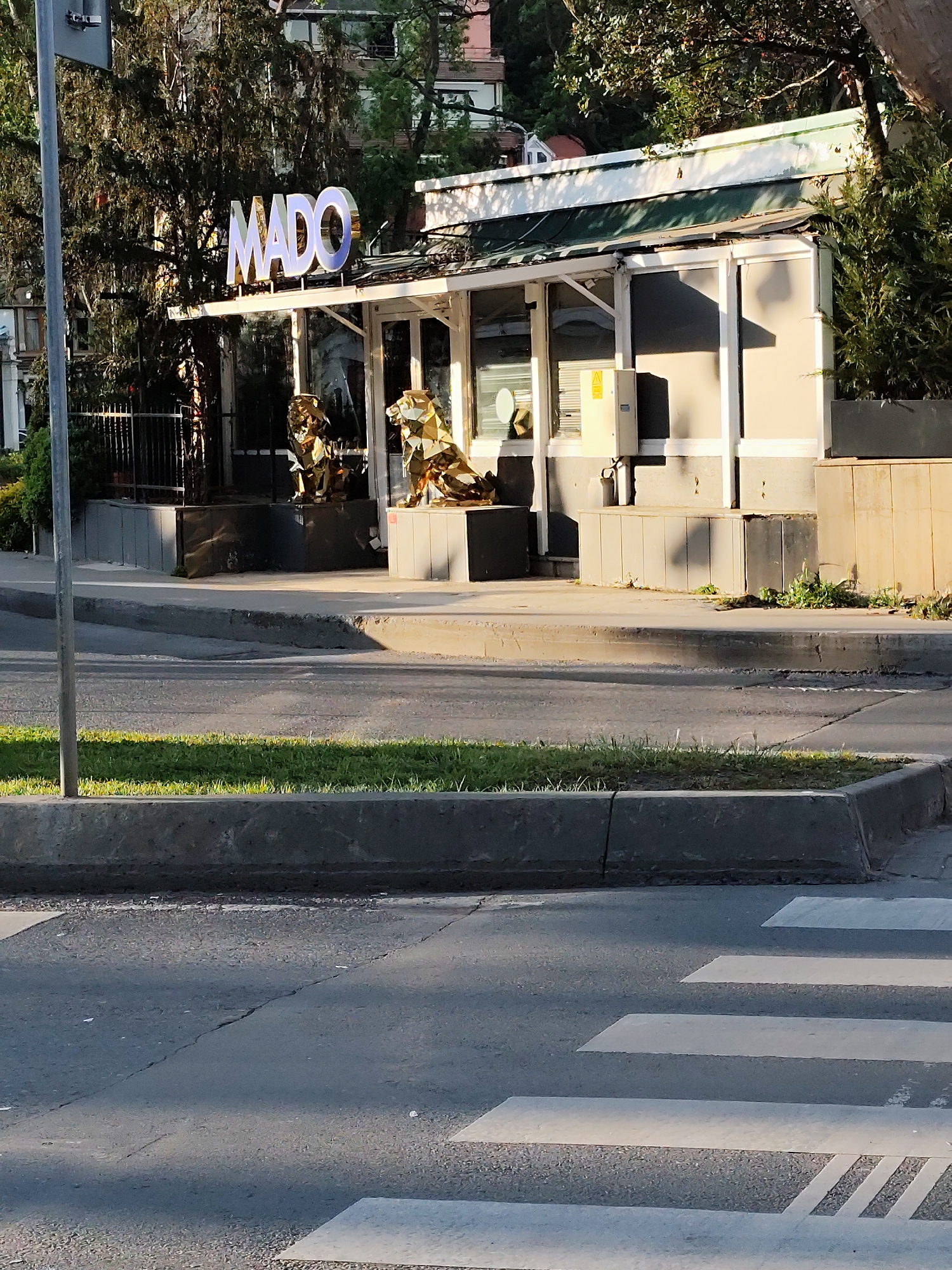 The image shows a "MADO" restaurant with glass windows and two golden animal sculptures in front. The restaurant is located on a street corner, evidenced by a crosswalk in the foreground. The day seems sunny, casting shadows on the crosswalk and the front of the restaurant. The exact location within the city of Unknown, Unknown is not specified in the image. The building has a white and green roof, and an electrical box is visible on the side. A metal pole stands to the left. The scene seems devoid of people.