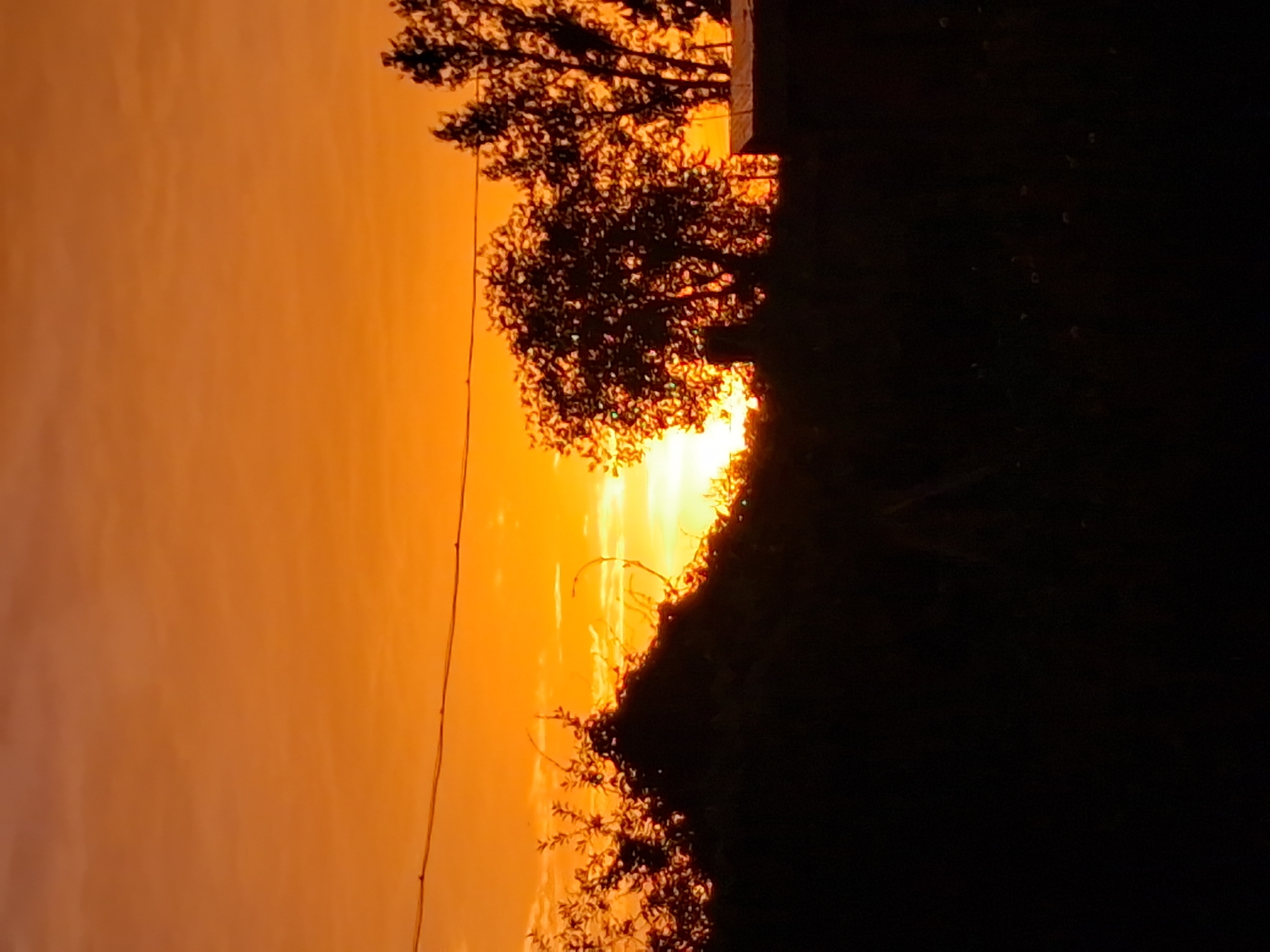 The image captures a silhouetted landscape against a vibrant orange sky, indicative of either a sunrise or sunset. A thin power line stretches horizontally across the upper portion of the frame, separating the sky from the darker foreground. The foreground is dominated by the dark outlines of trees and vegetation, with the bright glow of the sun visible behind them, suggesting it is near the horizon. The overall scene is one of natural beauty, with the dramatic colors of the sky creating a striking contrast with the silhouetted elements. The location in the city of Semey, Kazakhstan is noted, suggesting this is a view from that specific geographical area, likely an outdoor, possibly rural or semi-rural setting given the vegetation.