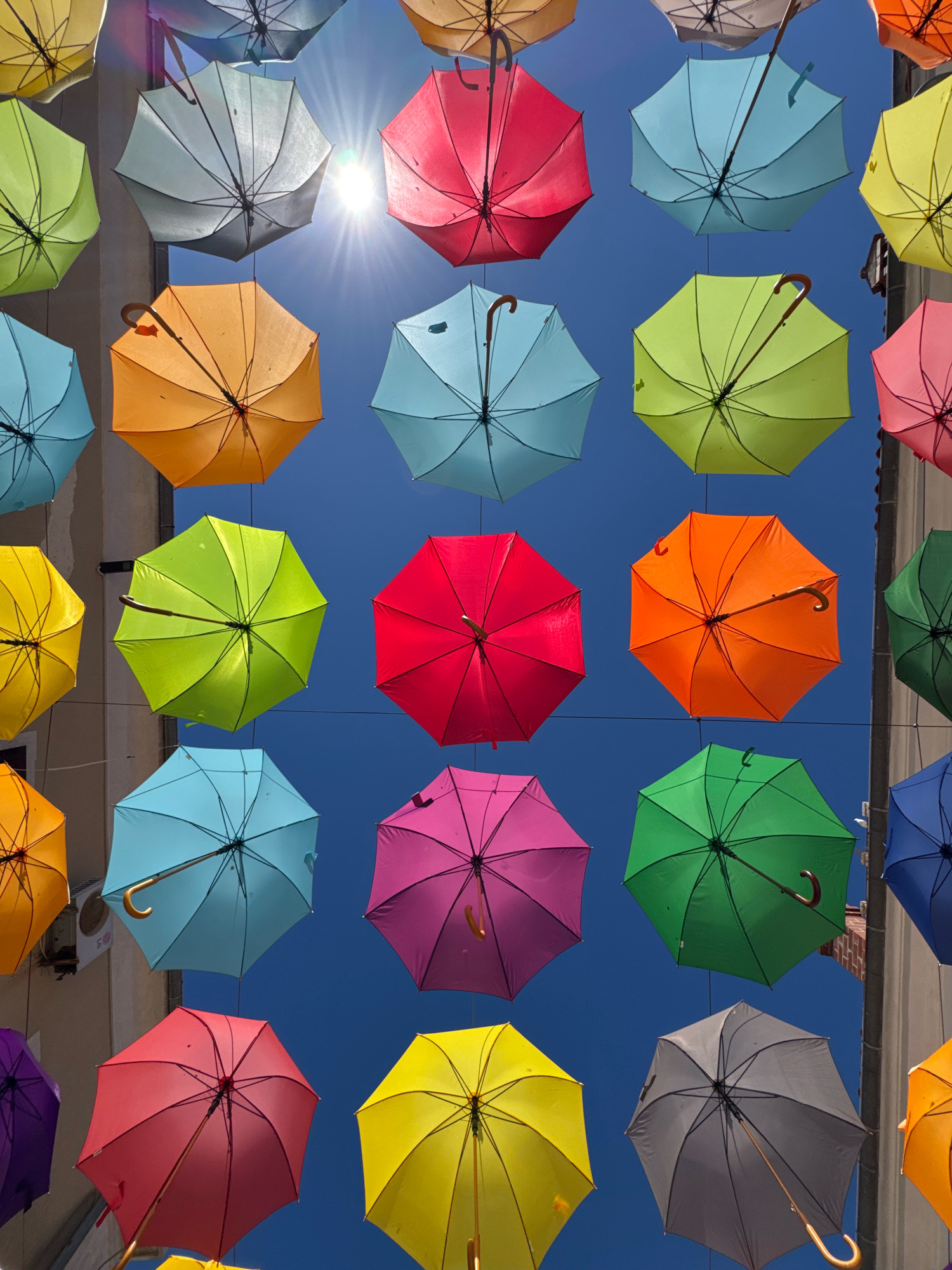 The image shows an outdoor art installation of many colorful umbrellas suspended in the air against a bright blue sky. The umbrellas are in various colors, including yellow, green, light blue, pink, red, orange, purple, and gray, and they are arranged in a seemingly random pattern, creating a vibrant and cheerful atmosphere. Some umbrellas are illuminated by direct sunlight, casting shadows and highlighting the translucent quality of their fabric. The sun is visible in the upper portion of the image, shining brightly through one of the umbrellas and creating a starburst effect. The scene appears to be in a city, as suggested by the architectural elements visible on the left and right sides of the image, which seem to be buildings. The context provided indicates that this installation is located in the city of Novigrad, Croatia. There are no people or animals visible in the image. The focus is solely on the collection of umbrellas and the bright sky.