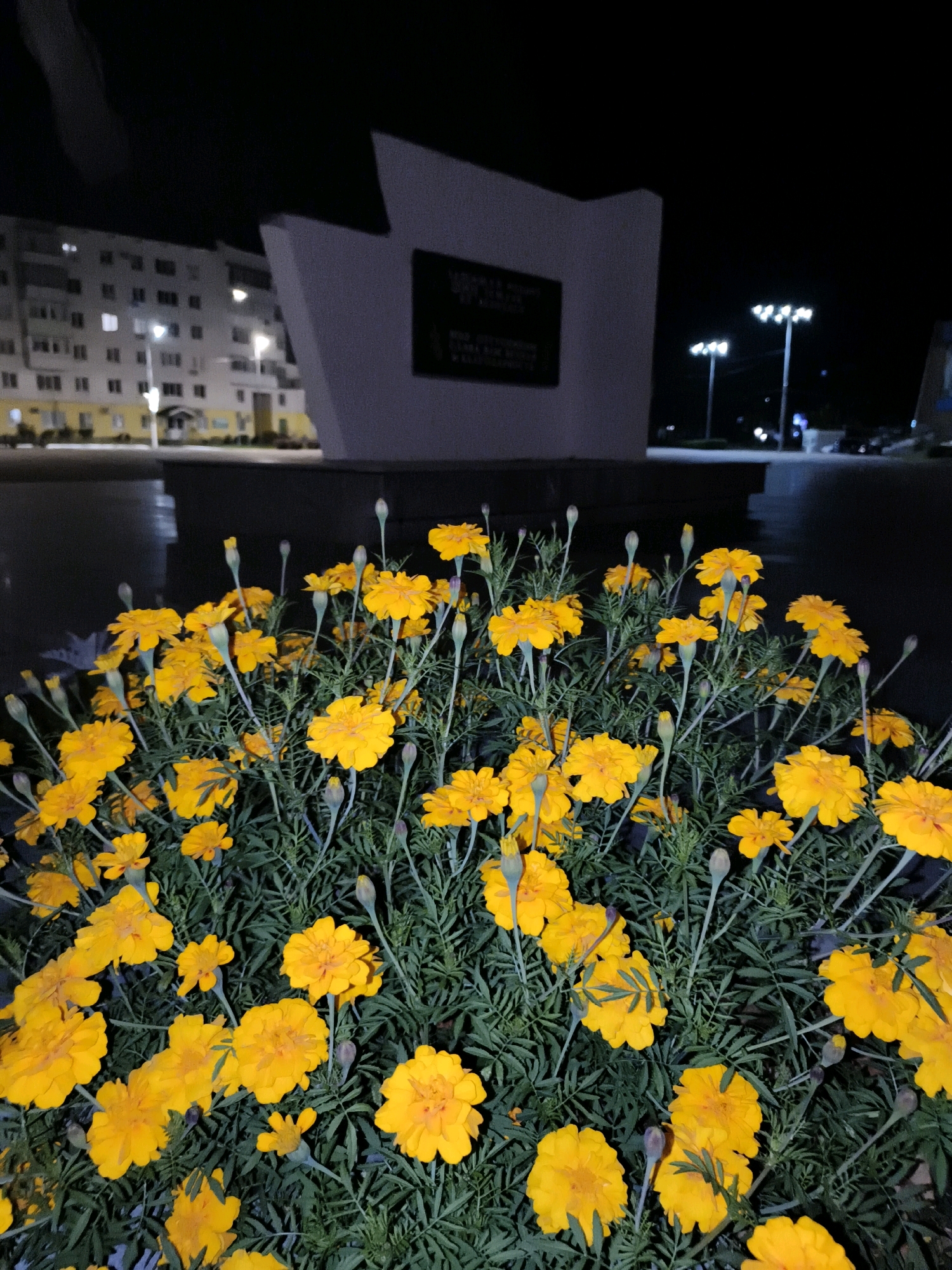 A close-up shot of bright yellow marigolds in the foreground is set against a blurred background of a city at night. Behind the flowers, a monumental structure with a dark plaque is visible. In the middle ground, a multi-story apartment building with illuminated windows stands. The background is dark, with streetlights and cars suggesting an urban environment. The overall scene appears to be in the city of Chaikovsky, Russia, possibly a memorial site. There are no people or animals visible in the image.