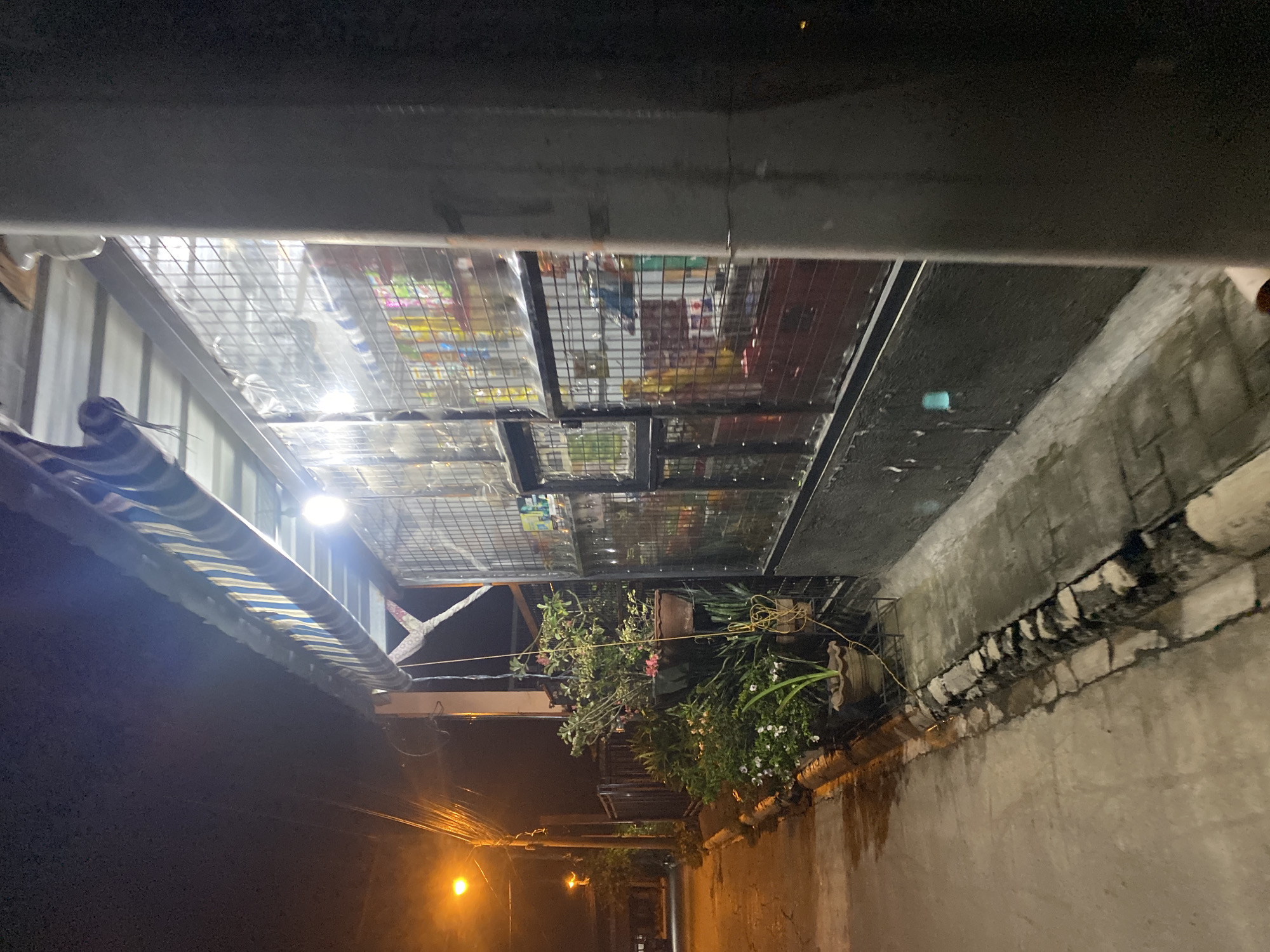 This detailed image depicts a nocturnal street scene, specifically a small commercial establishment, possibly a sari-sari store, located in what appears to be Davao City, Philippines. The scene is illuminated by artificial lights against a dark sky, and the ground surfaces appear wet, suggesting recent precipitation.
On the right side of the frame, a commercial building features a light-colored, possibly blue and white, striped fabric awning extended over its front. Beneath the awning, the storefront is secured with a metal grid or bars, behind which clear plastic sheeting is visible. Various packaged goods, including snack items and beverages, are discernible through this protective barrier, illuminated by a single bright white light fixture mounted on the store's exterior. The lower section of the store's facade is dark, presenting a textured surface.
Adjacent to the store, a collection of potted plants of various sizes and species, some exhibiting pink and white blossoms, are arranged along the exterior wall and on metal stands next to the sidewalk. A thin yellow cord hangs vertically among these plants.
To the left, a concrete sidewalk, appearing damp and reflective, runs parallel to the store. It is bordered by an irregularly constructed curb composed of stone or concrete blocks. Beyond the sidewalk, a wet paved road extends into the dark distance. Two amber-hued streetlights cast pools of light in the middle ground, with a prominent utility pole heavily strung with electrical wires standing beneath the closest streetlight. Faint silhouettes of distant buildings are visible further down the road. A large, dark vertical element, likely another utility pole or a structural pillar, partially occupies the far right foreground, obscuring a portion of the store. No individuals are present in the frame.