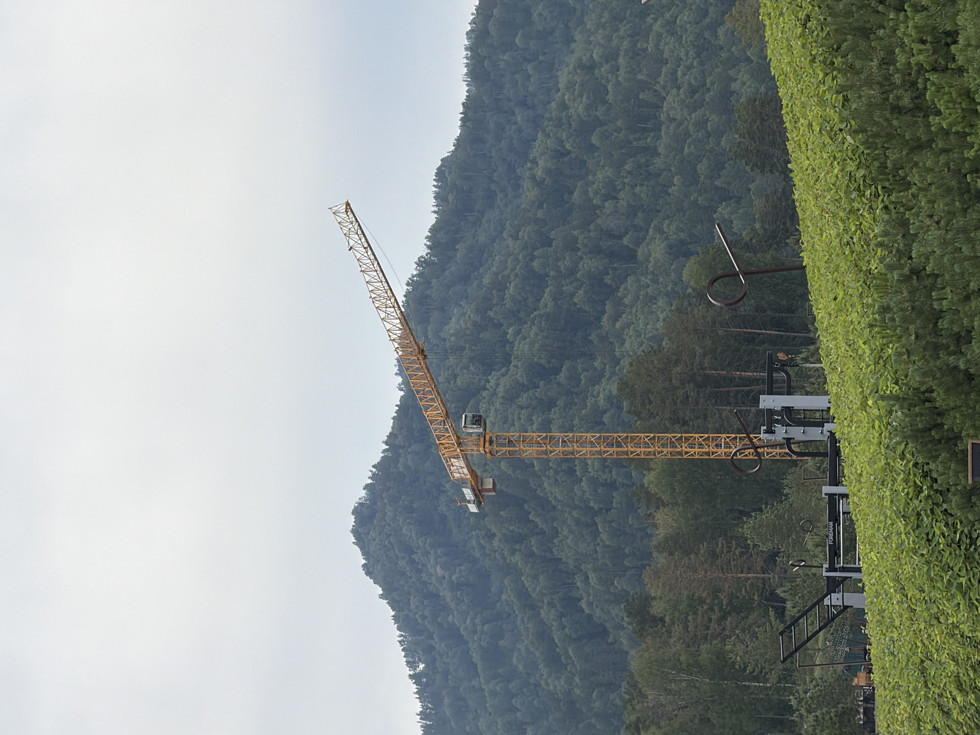 A bright yellow construction crane stands prominently in the foreground, its boom extending diagonally across the frame. Behind it, a dense, green, tree-covered mountain slopes upwards against a pale, overcast sky. In the middle ground, a section of an outdoor gym structure is visible, composed of grey metal bars and equipment. A low-lying hedge of lush green foliage dominates the lower portion of the image, with some evergreen shrubs in the immediate foreground. The scene appears to be located in a natural setting, possibly on the outskirts of a populated area. The location is the city of Озерное (майминский), Russia.