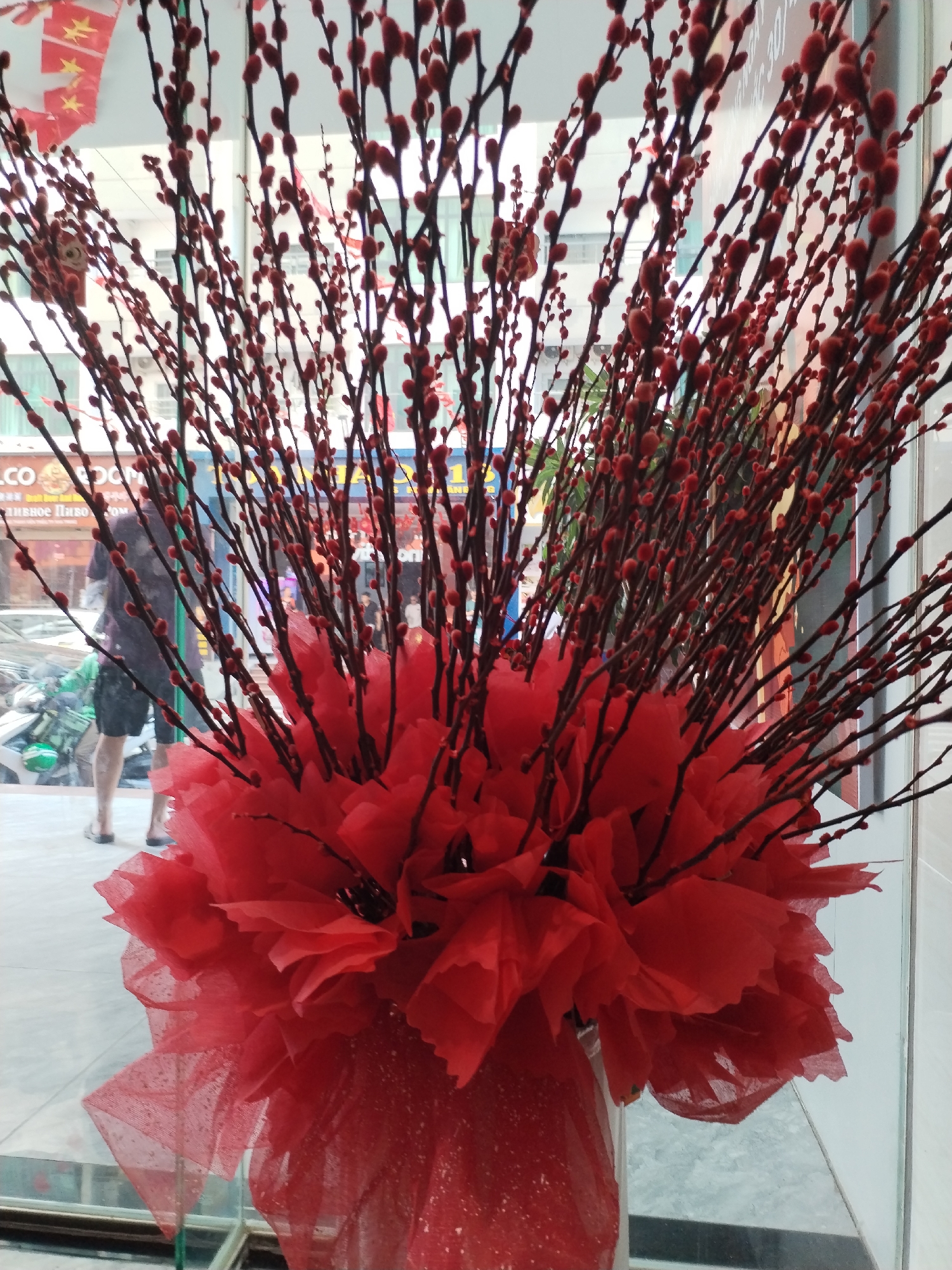The image displays a festive indoor decoration viewed through a glass storefront, revealing a bustling street scene in Bac Nha Trang Ward, Vietnam, during the daytime.
**Subjects and Objects:**
The foreground is dominated by a large, vibrant red floral arrangement. It consists of numerous slender, dark branches tipped with small, reddish, fuzzy buds, likely dyed pussy willow or similar decorative branches, fanned out from a central base. This base is adorned with layers of ruffled red tissue paper or fabric, and further wrapped with shimmering, sheer red netting at the bottom, creating a voluminous and celebratory display.
Through the glass, the outdoor environment shows a street with a light-colored ground. Partially visible vehicles include the front of a car and a green-clad figure on a motorcycle or scooter. Buildings with windows line the background. Overhead, festive red and yellow banners, possibly Vietnamese flags with yellow stars, are strung across the street, suggesting a celebratory atmosphere.
**People and Activity:**
A person is seen from behind, walking away outside the window, wearing a dark shirt, shorts, and flip-flops. The prominent red decorations and banners strongly indicate a festive event, most likely the Lunar New Year (Tết) in Vietnam, a time when red flowers and decorations are traditionally displayed to symbolize good luck and prosperity.
**Notable Details:**
The bright illumination suggests it is daytime. The general mood is festive and lively. Visible text on signs outside includes a partial English sign "LCO OOM" and a Cyrillic sign "ПИВНОЕ ПИВО" (Pivnoye Pivo), which translates to "Beer Beer," indicating a business catering to Russian speakers, common in Nha Trang. Another partially visible sign shows "30/4," possibly a date or address. The combination of traditional Vietnamese festive elements with international signage highlights the local context of a Vietnamese city.