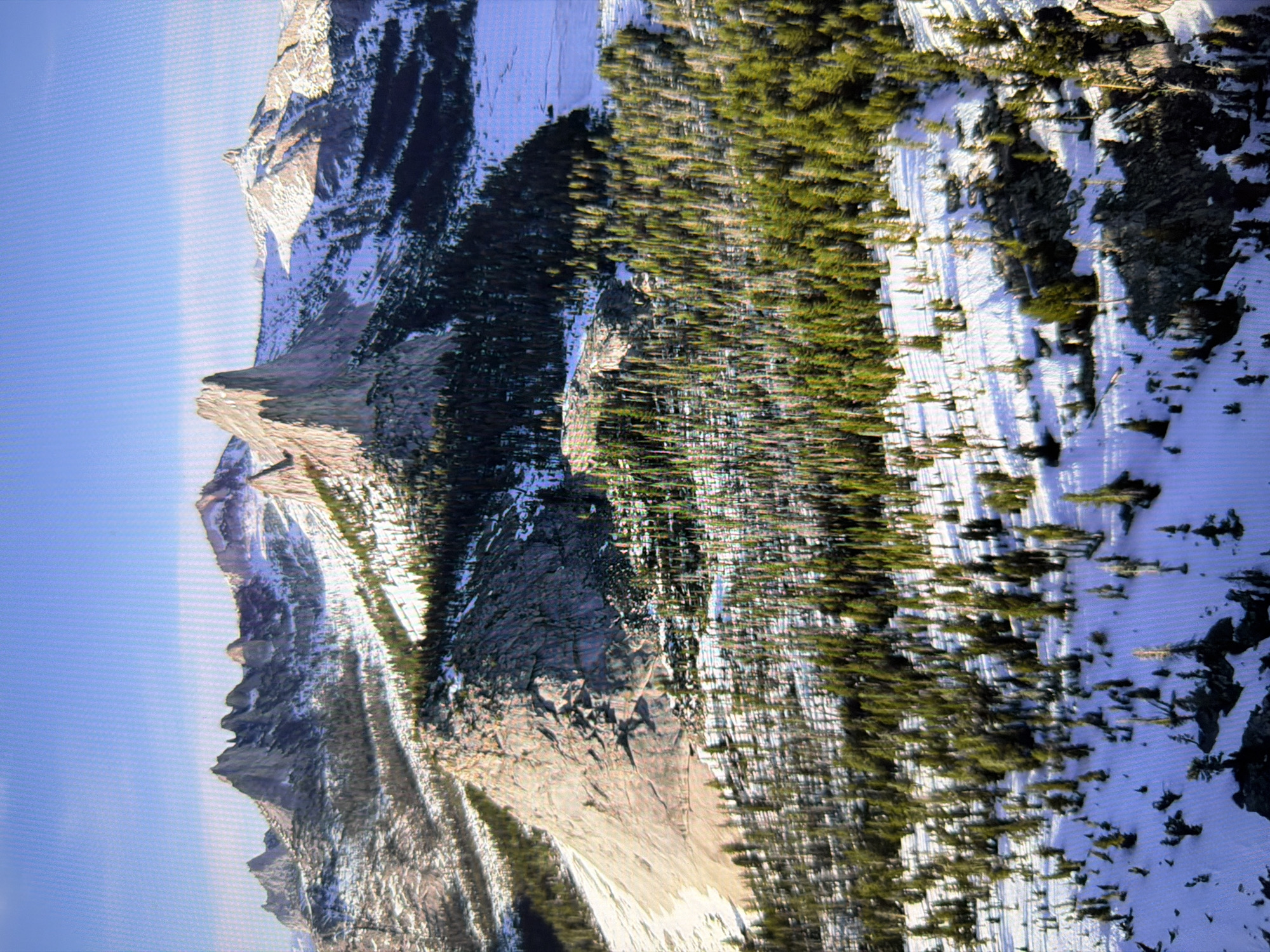 The image depicts a vast, mountainous landscape covered in snow and dotted with coniferous trees. The sky above is a clear, bright blue. The terrain is rugged, with steep, rocky peaks and slopes. Patches of snow are visible on the ground, interspersed with dark green pine trees. The overall impression is one of a remote, natural wilderness. There is no indication that this image is related to the city of Kyiv, Ukraine, or any urban environment.
