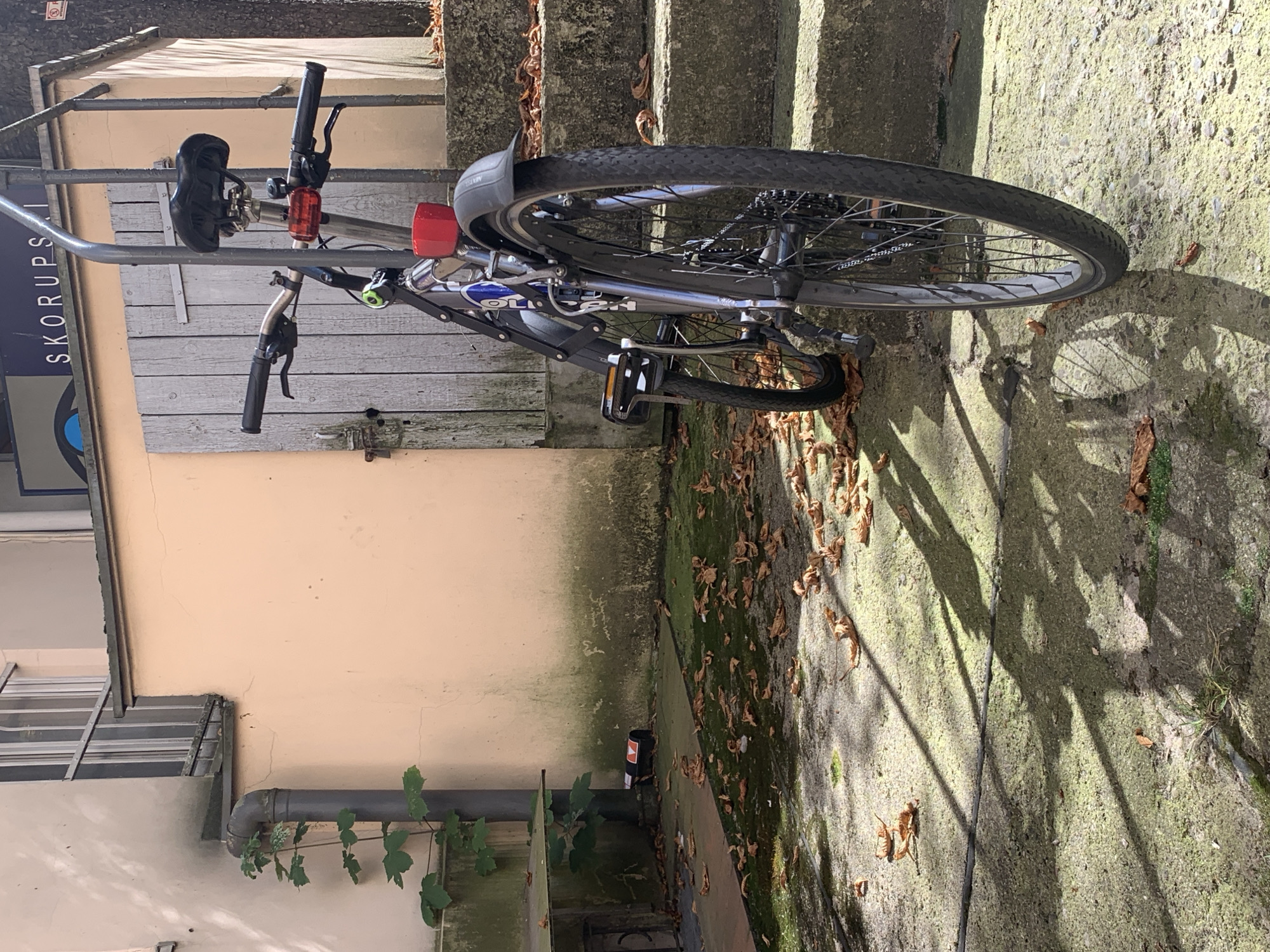 The image depicts a bicycle leaning against a light-colored wall and a wooden door. The bicycle has a black seat, handlebars, and wheels, with a red reflector on the back and a red object attached to the frame. Fallen leaves are scattered on the ground and steps, which are covered in moss in some areas. A grey pipe runs vertically along the wall, with a vine growing on it. The ground appears to be made of concrete. In the background, a sign with the word "SKORUPSKI" is visible. The scene appears to be an outdoor courtyard in an urban setting. The image is taken from a low angle, looking up towards the bicycle and the wall. There are no people visible in the image. The overall impression is one of stillness and neglect, possibly in autumn due to the presence of fallen leaves. The location is identified as Poznan, Poland.