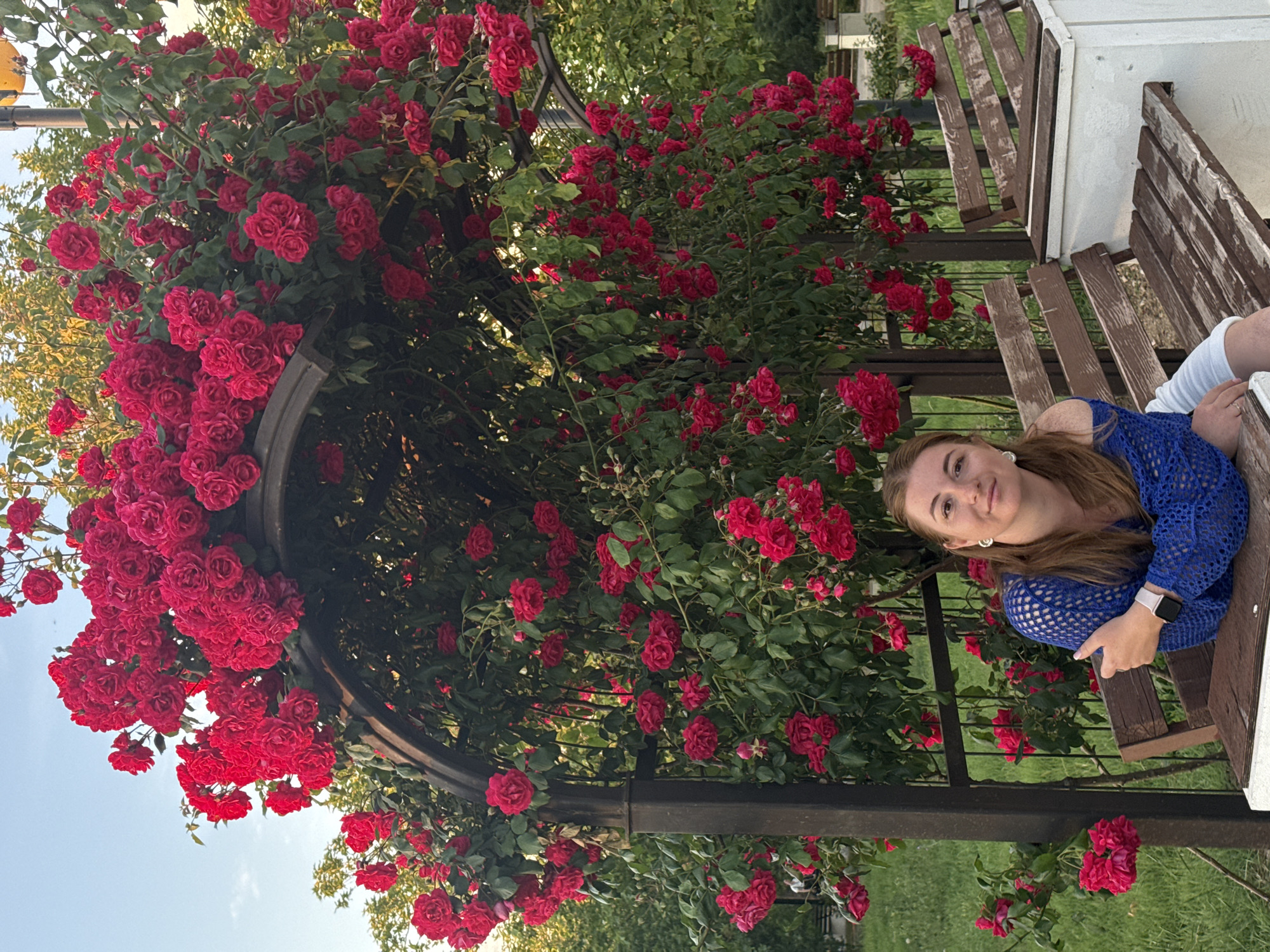 A woman sits on a wooden bench in front of a large, arched rose trellis covered in red roses. The woman has long brown hair and is wearing a blue off-the-shoulder top. She is looking at the camera and smiling. The rose trellis is dark brown metal and is arching over the path. The roses are a deep red color and are blooming profusely. The background is a park-like setting with green grass and trees. The sky is a clear blue with a few white clouds.