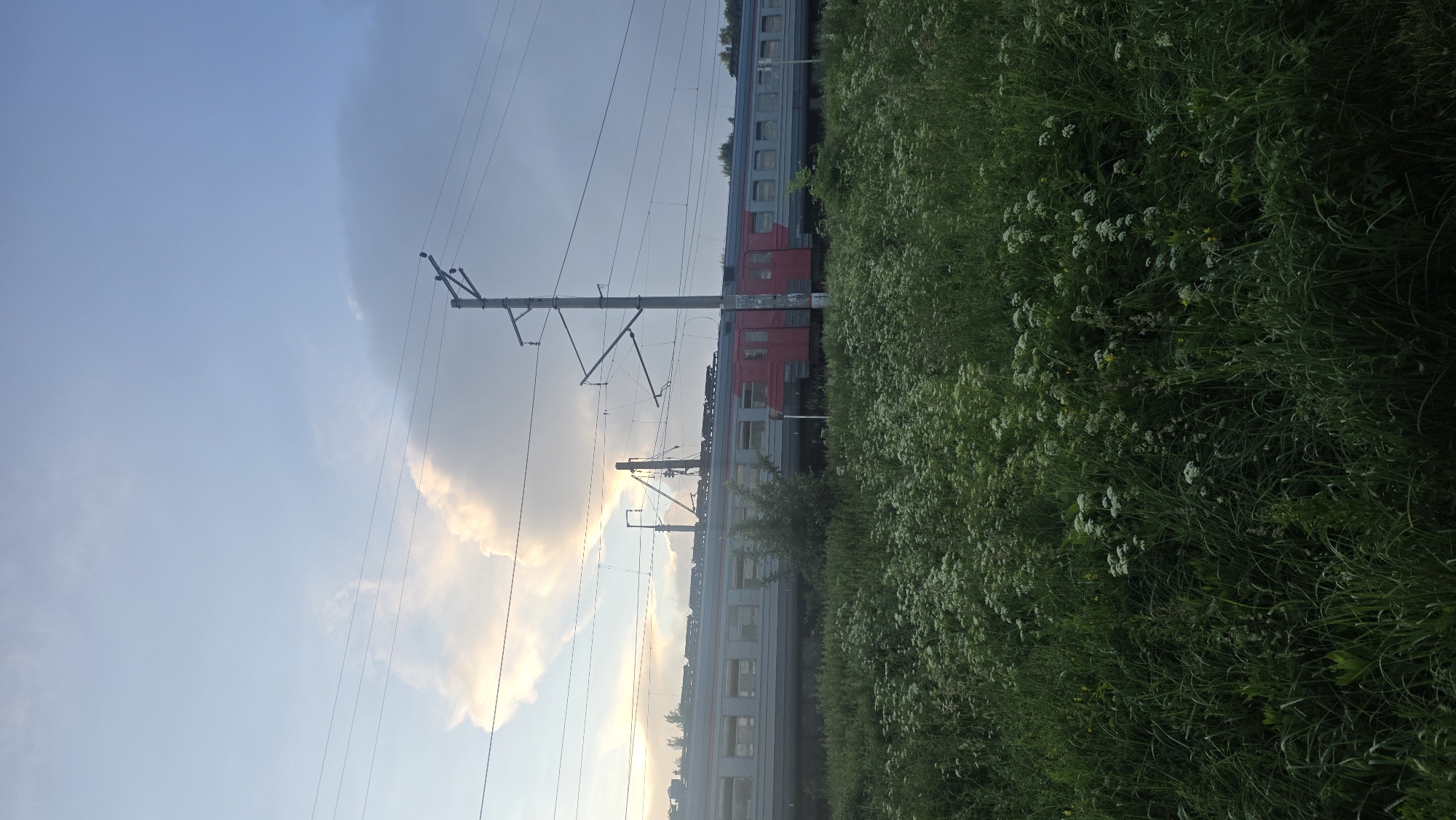 An outdoor, full-shot vertical composition captures a train passing through a grassy field under a cloudy sky. The train is gray with red accents and runs horizontally across the middle ground of the image. Overhead, power lines stretch across the frame, supported by utility poles. The foreground is dominated by a dense field of green grass and white wildflowers, with some trees visible in the distance. The sky is a mix of blue and gray clouds, with a bright patch of light peeking through on the left side. The scene appears to be in the village of Rassudovo, Russia, a rural area outside of Moscow known for its natural landscapes and railway lines.