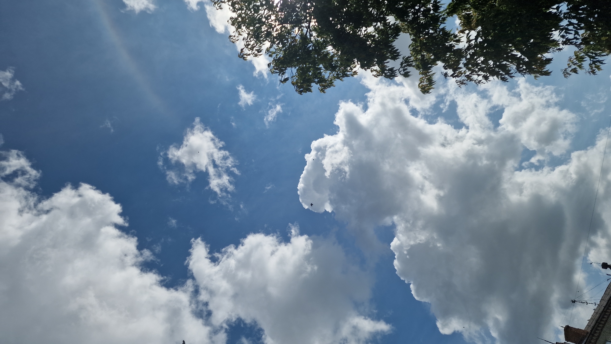 The image shows a bright blue sky filled with white, fluffy clouds. In the upper right corner, the dark green leaves of a tree are visible, with sunlight filtering through them. In the lower left of the frame, the top of a brick building with antennae is seen. There are a few small birds in flight, silhouetted against the clouds. The scene appears to be an outdoor urban environment, possibly in Kostanay, Kazakhstan, based on the provided information. The weather is clear and sunny, with a moderate cloud cover.
