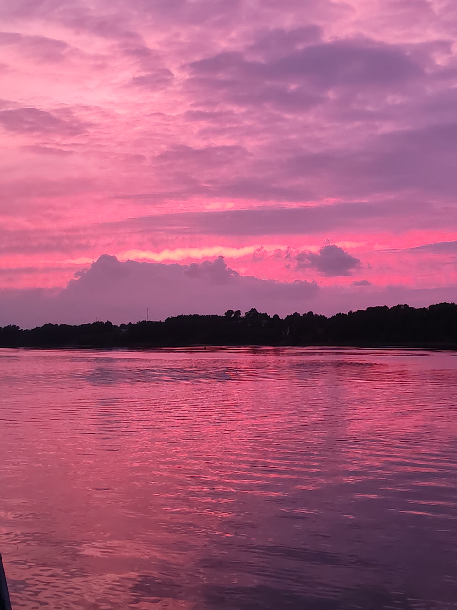 The image shows a body of water reflecting a vibrant pink and purple sunset. The water surface has gentle ripples. In the background, there's a dark, silhouetted treeline with some visible structures. The sky is filled with layers of pink and purple clouds. Given the prompt's location, this scene is likely a body of water located in Bol'shie Mkhi, Russia. However, no specific identifiable landmarks are visible to confirm that location. There are no people or specific objects that can be identified in detail. The interactions consist of the water reflecting the sky.