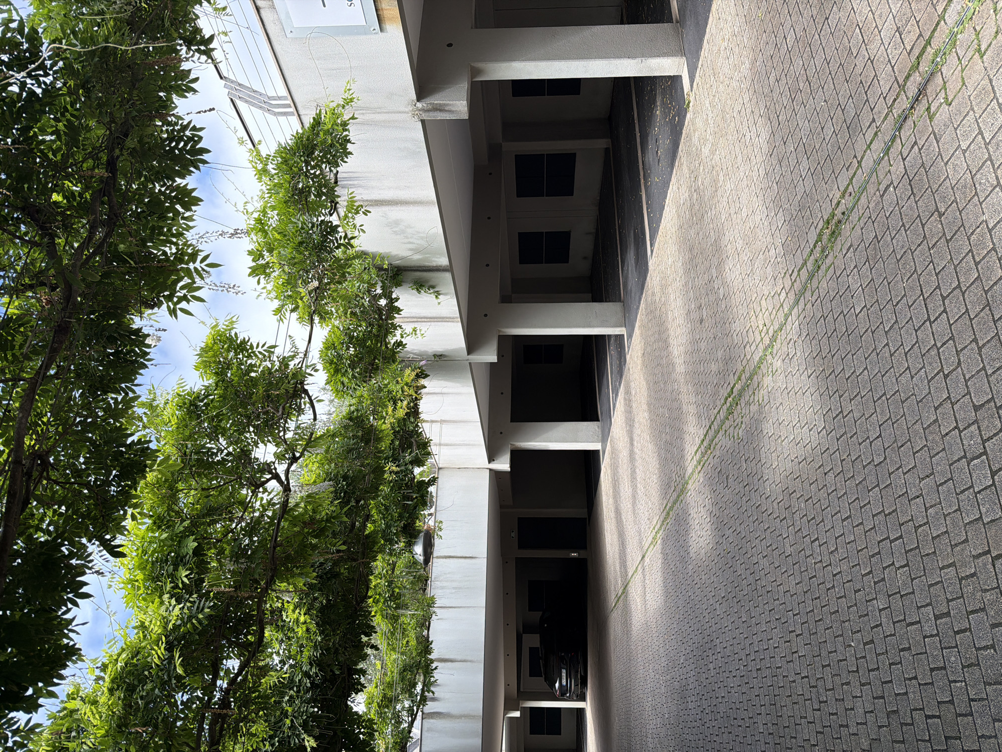 The image depicts an outdoor scene in La Clarté, France. The perspective is from below, looking up and to the side at a building and surrounding vegetation.
The primary subjects are a building with a modern, minimalist design and lush green trees and vines growing around and on it. The building appears to be multi-story, with visible concrete columns and awnings. Several dark, rectangular openings suggest windows or doorways on the upper levels. Below, a tiled walkway or parking area stretches into the distance.
The time of day appears to be daytime, with bright sunlight casting distinct shadows across the tiled surface, indicating a sunny or partly sunny day. The presence of shadows suggests a mid-morning or afternoon time. The weather seems pleasant, given the vibrant foliage.
Notable details include the texture of the tiled ground, which is made of small, uniform rectangular stones laid in a pattern. The vegetation is dense and healthy, with many leaves and some slender branches trailing. A metal pipe or conduit runs diagonally across the tiled area.
There is no discernible activity or event taking place; the scene appears still and possibly unoccupied at the moment the photo was taken. There is some faint, unreadable text on a plaque attached to the building on the far left.
The overall mood is one of tranquility and a blend of nature and architecture. The location cues, such as the architectural style and the foliage, are consistent with a Mediterranean or coastal European setting, which aligns with La Clarté, France.